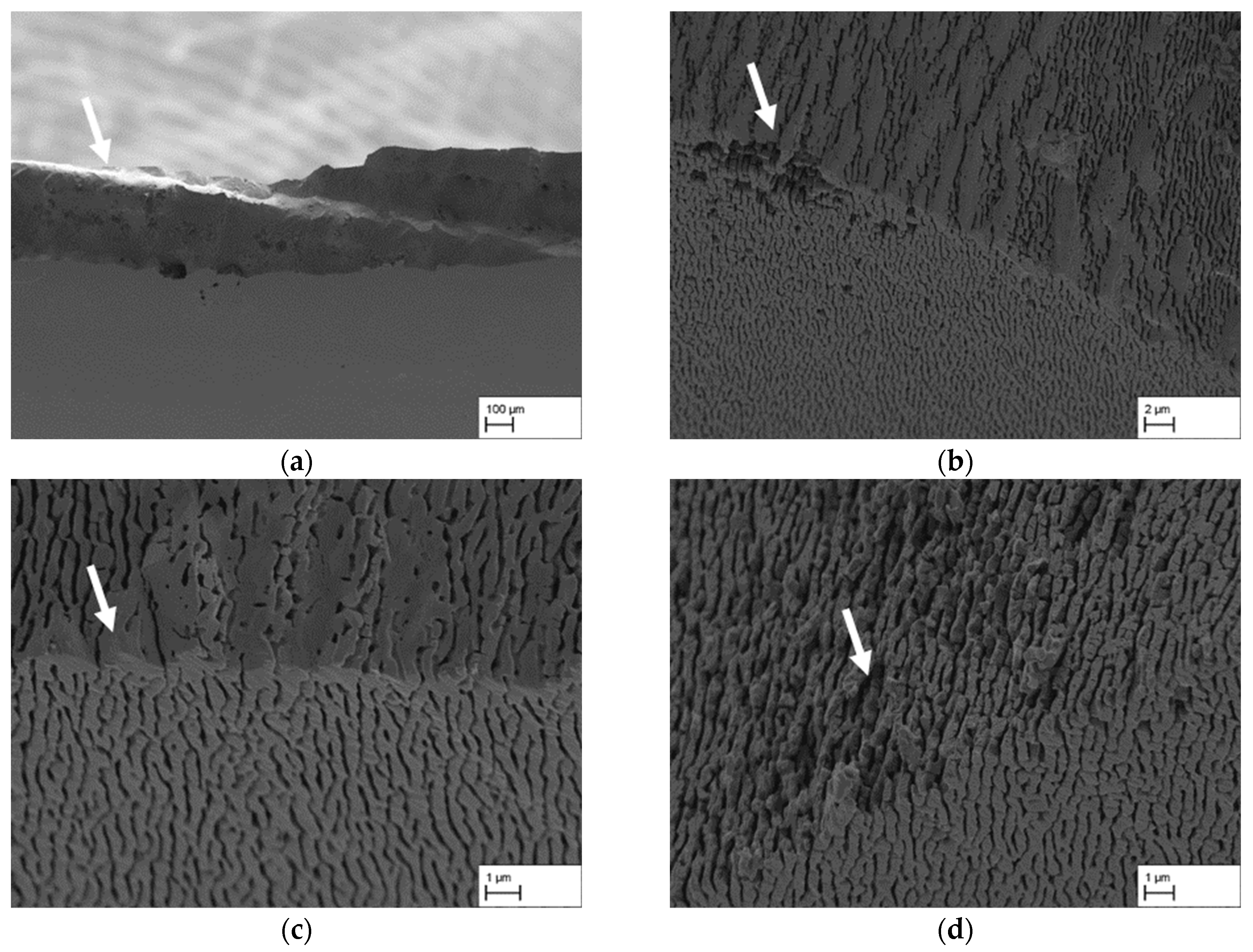 Materials 18 01961 g011
