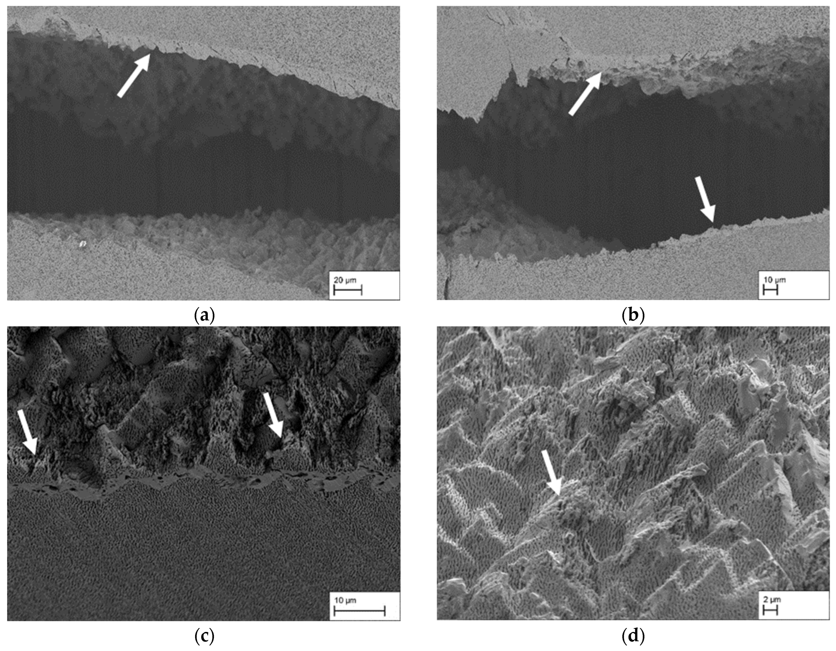 Materials 18 01961 g012