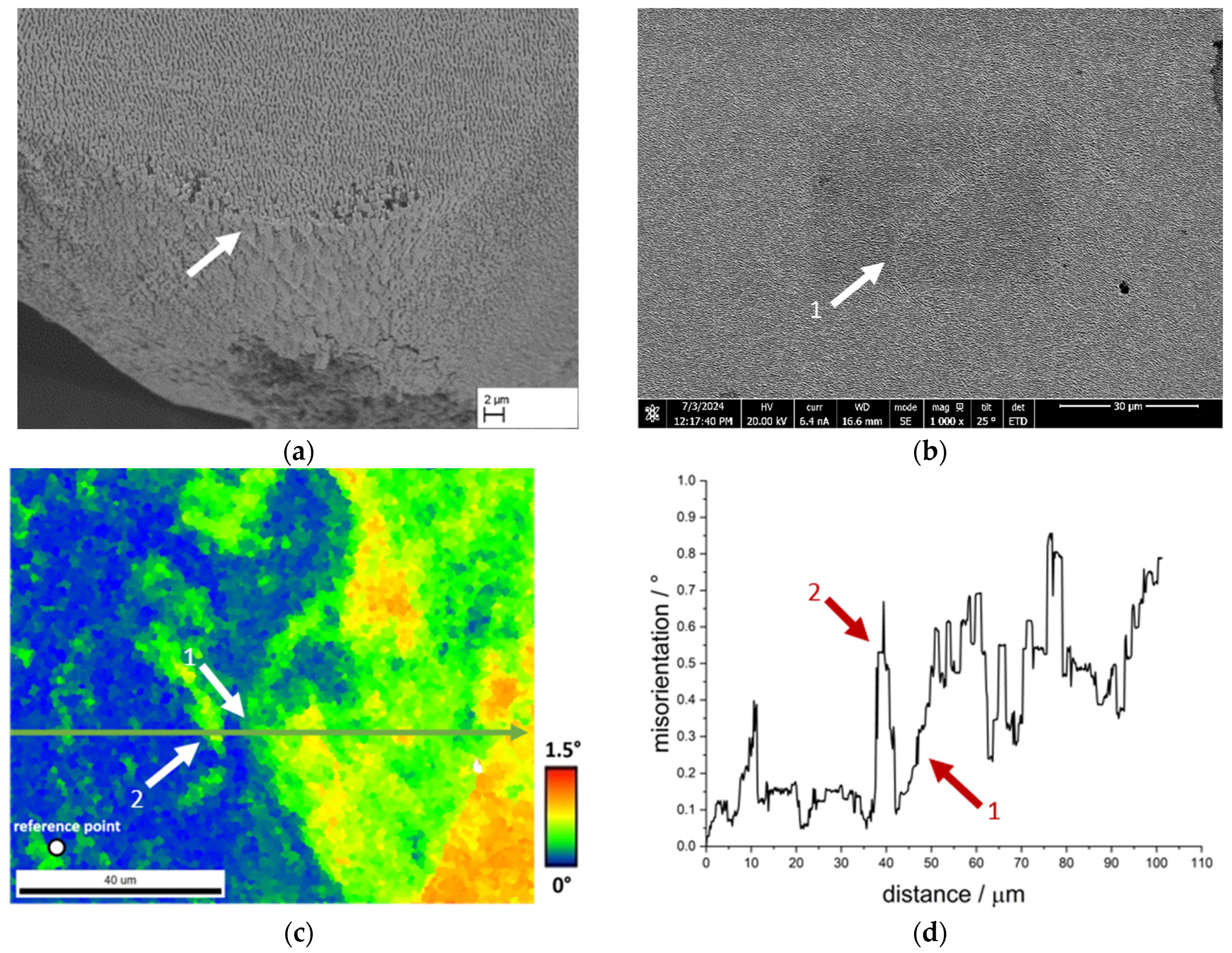Materials 18 01961 g016