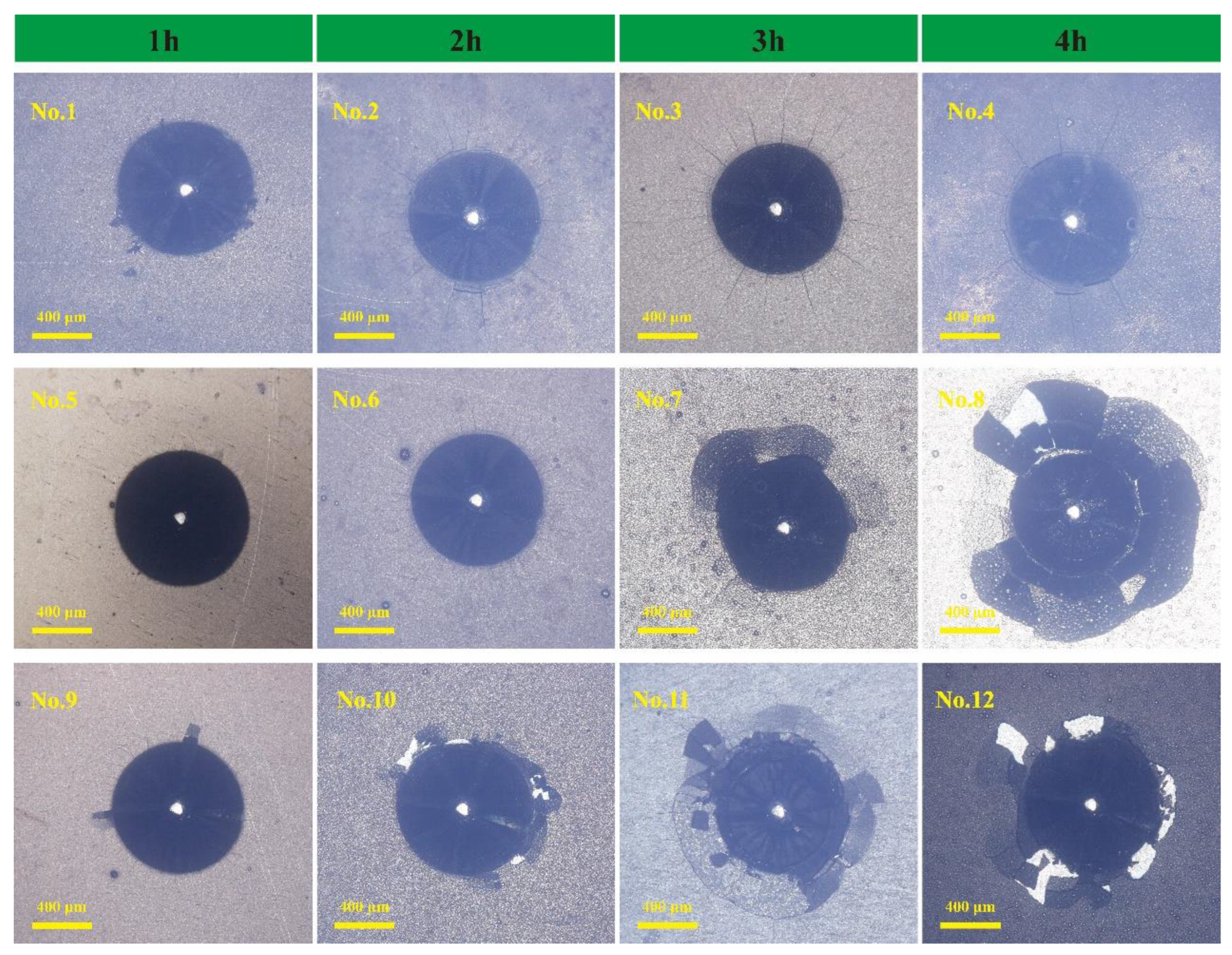 Materials 18 01981 g004