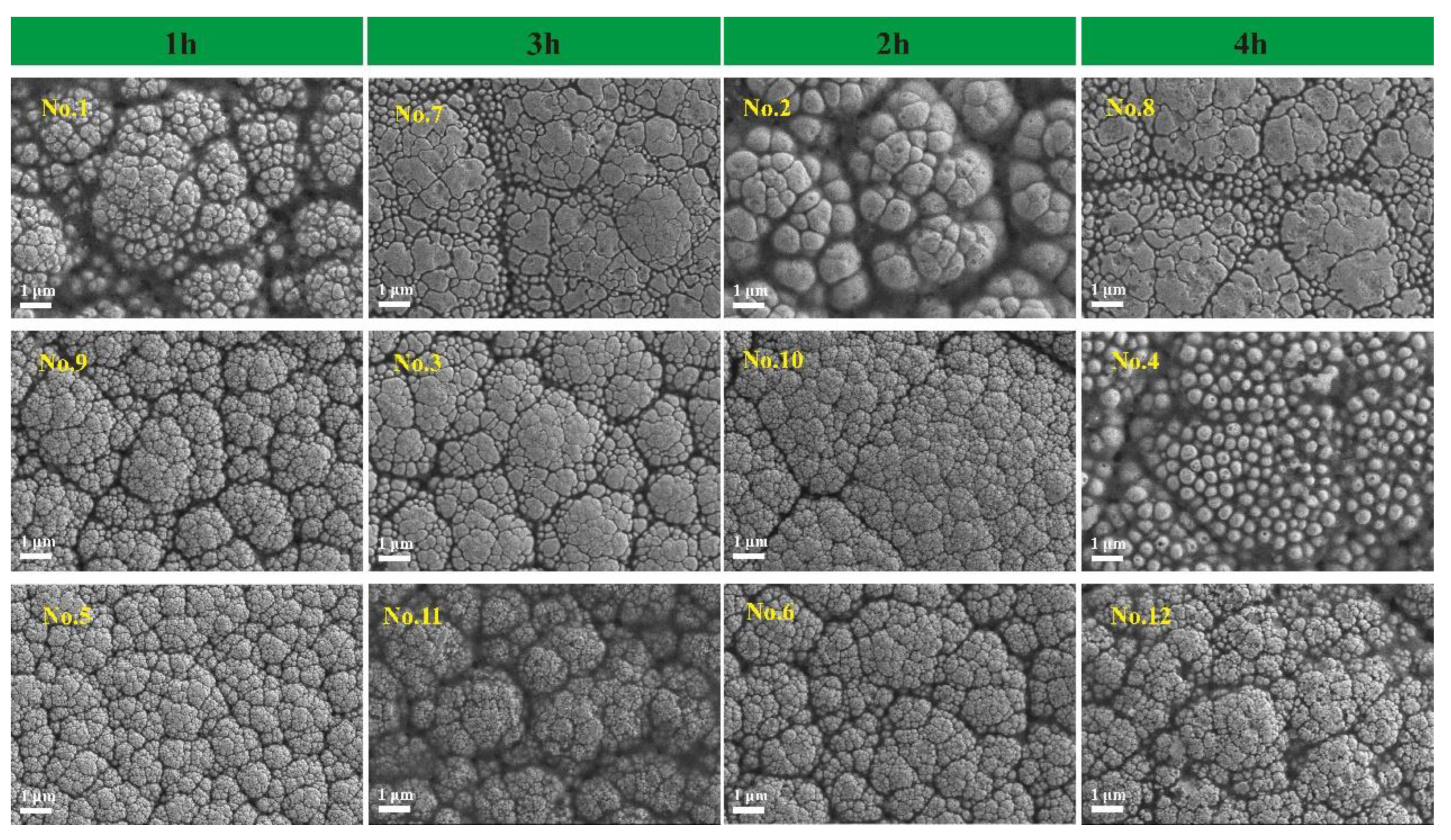 Materials 18 01981 g005