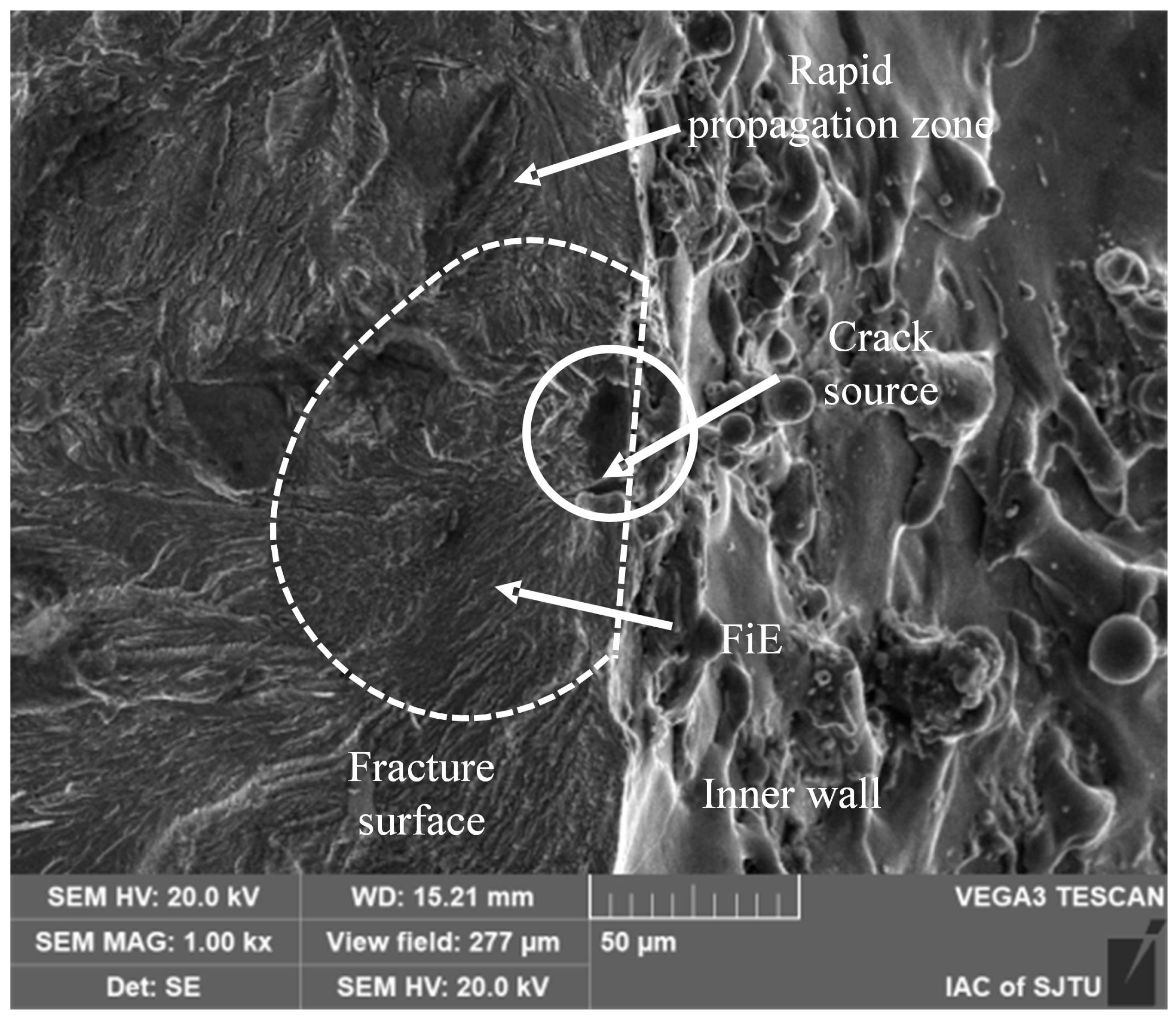 Materials 18 01985 g009