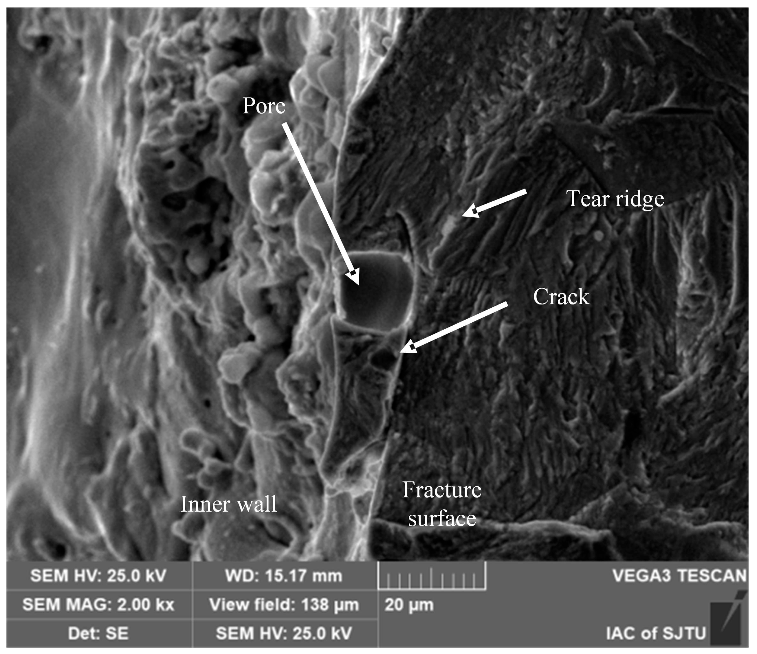 Materials 18 01985 g010
