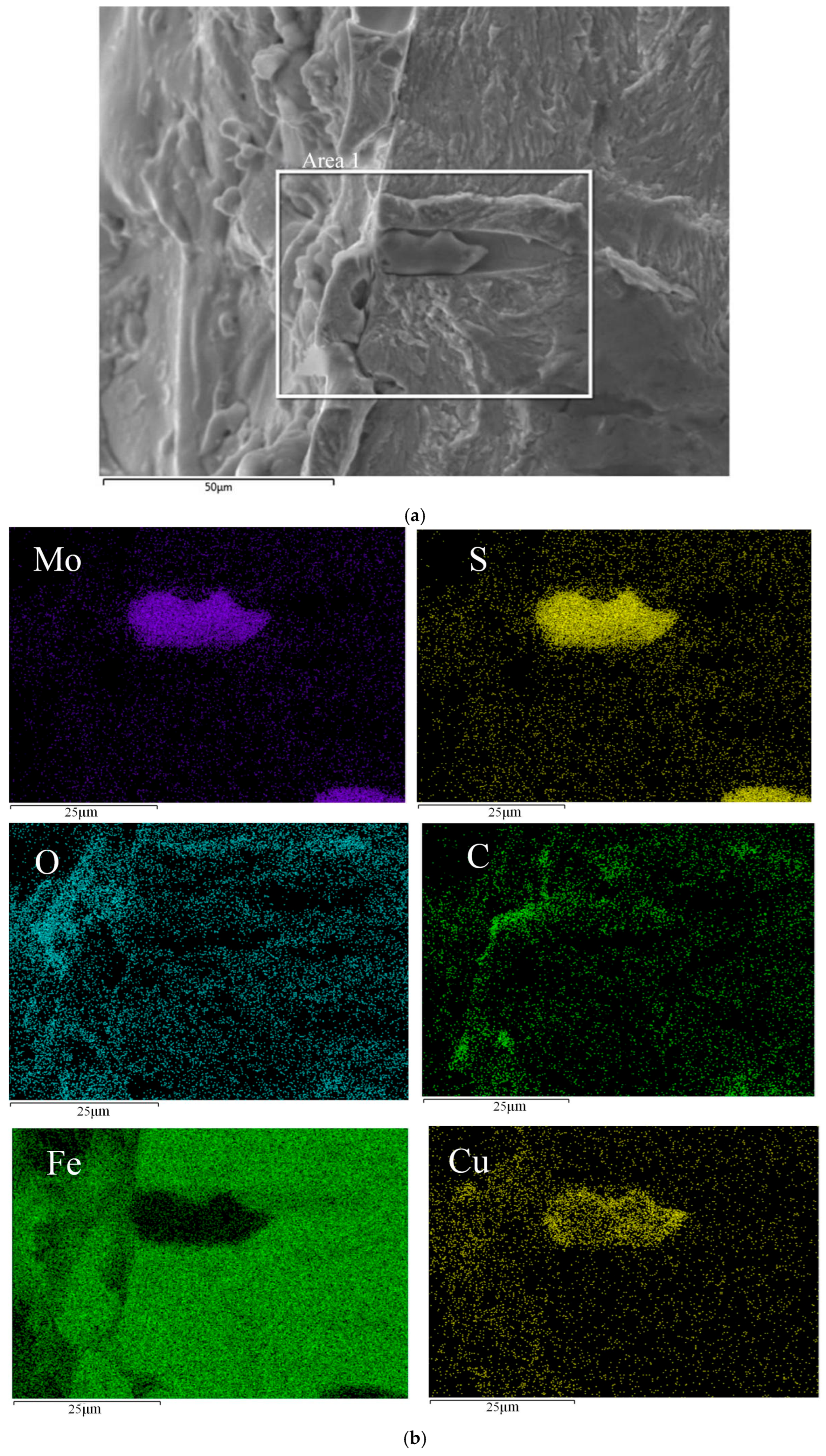 Materials 18 01985 g012