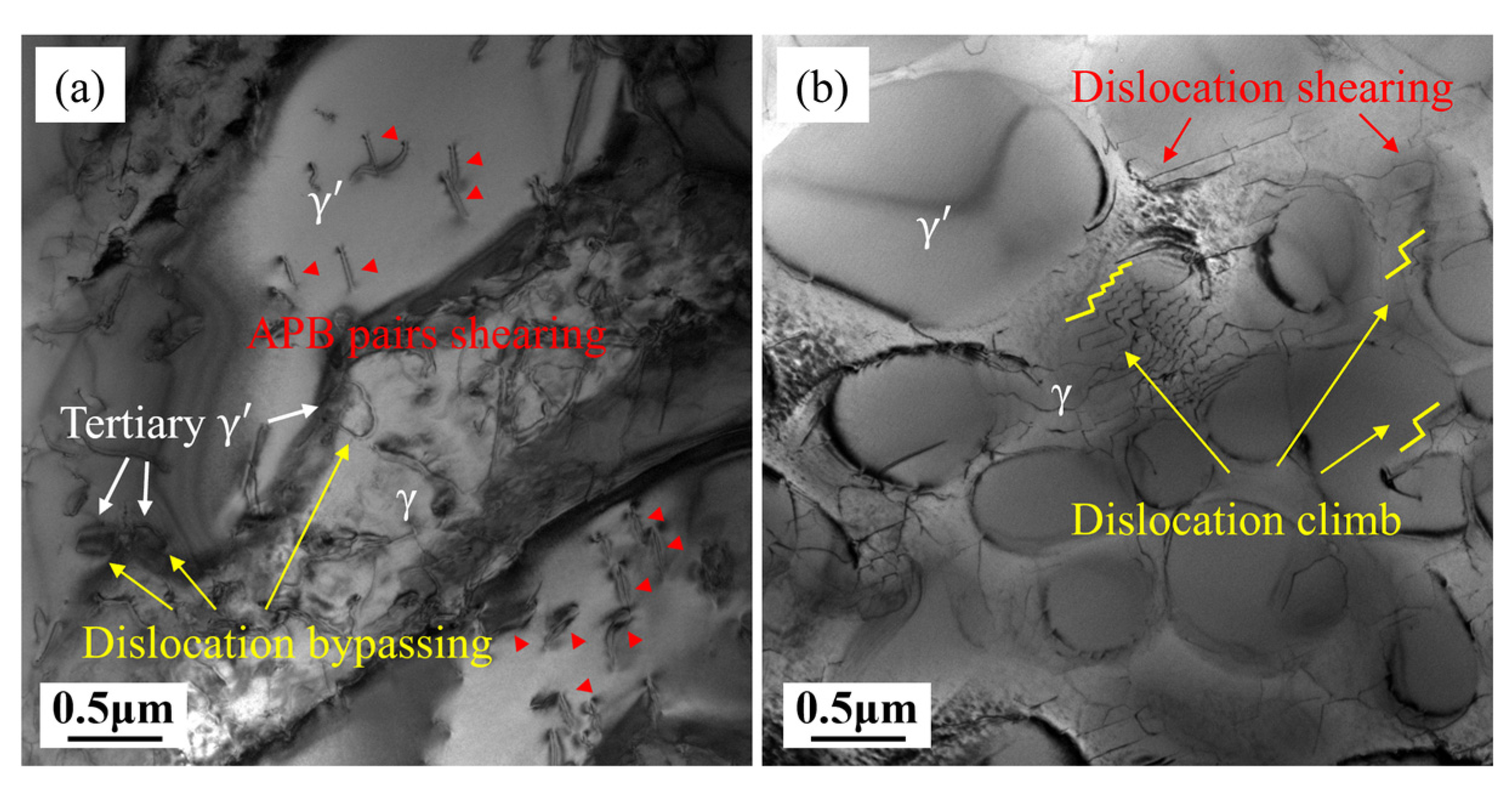 Materials 18 01998 g010