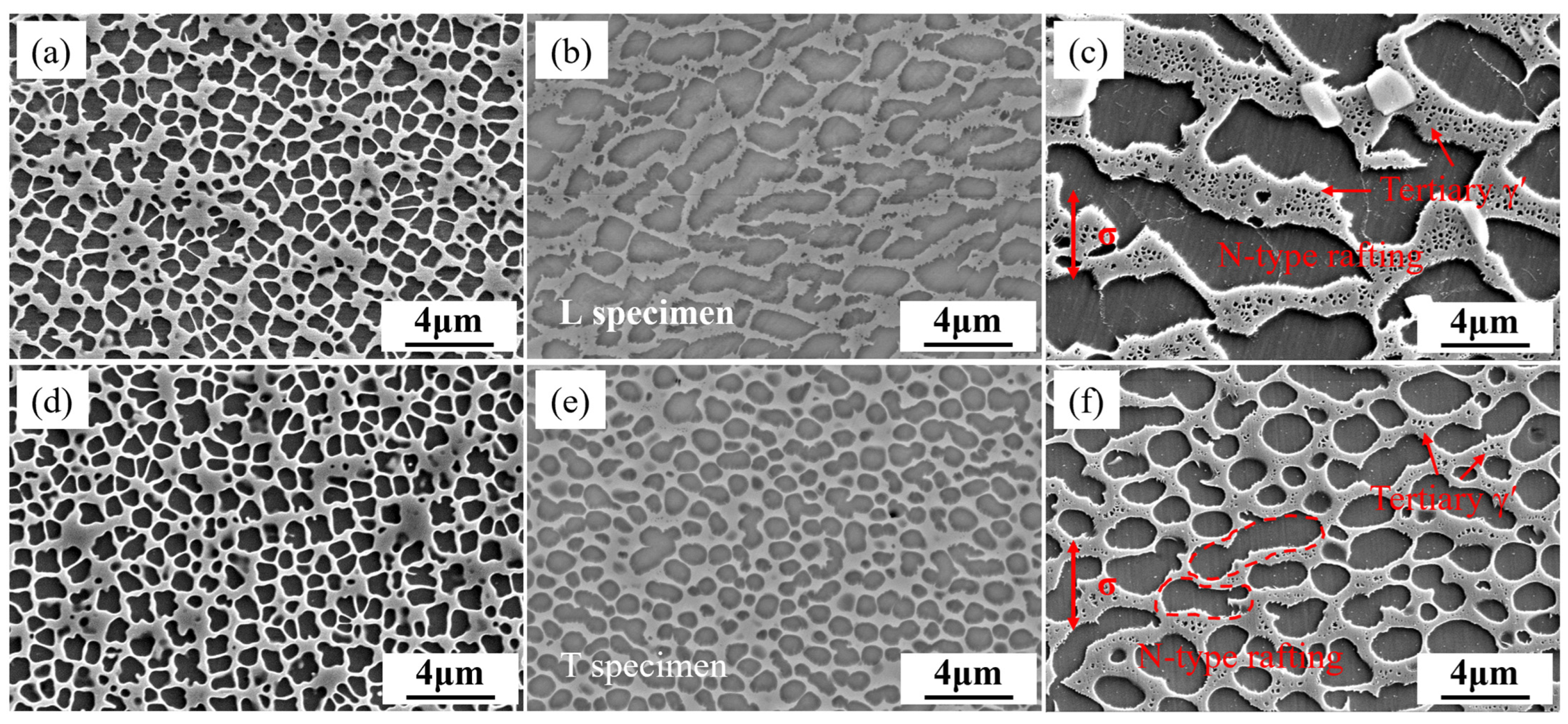 Materials 18 01998 g013