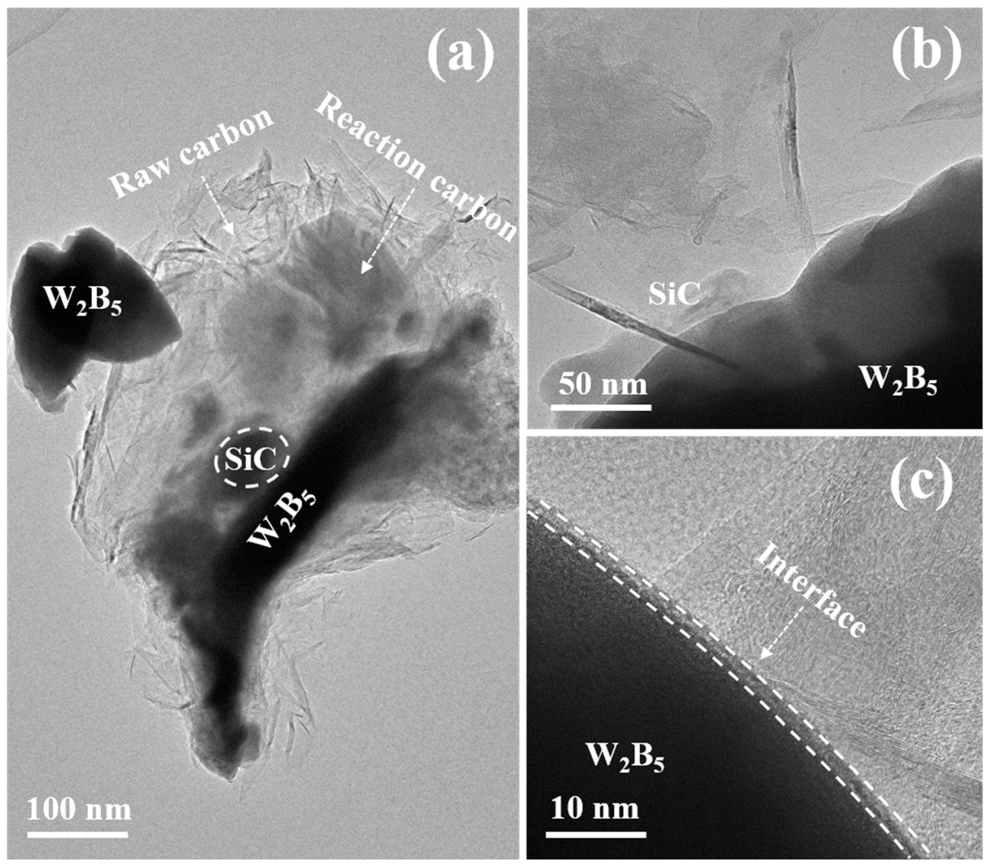 Materials 18 02007 g007