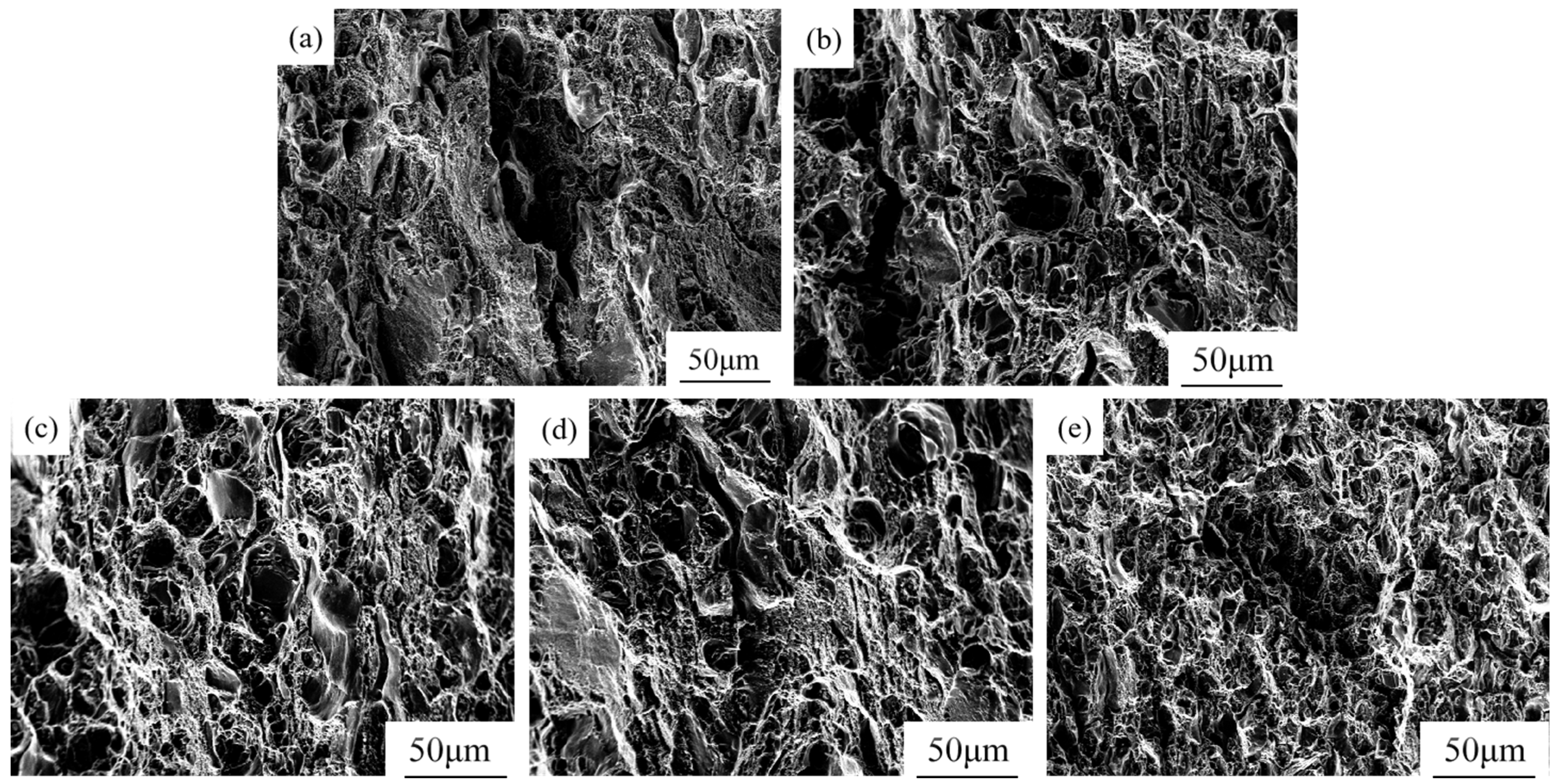 Materials 18 02009 g010