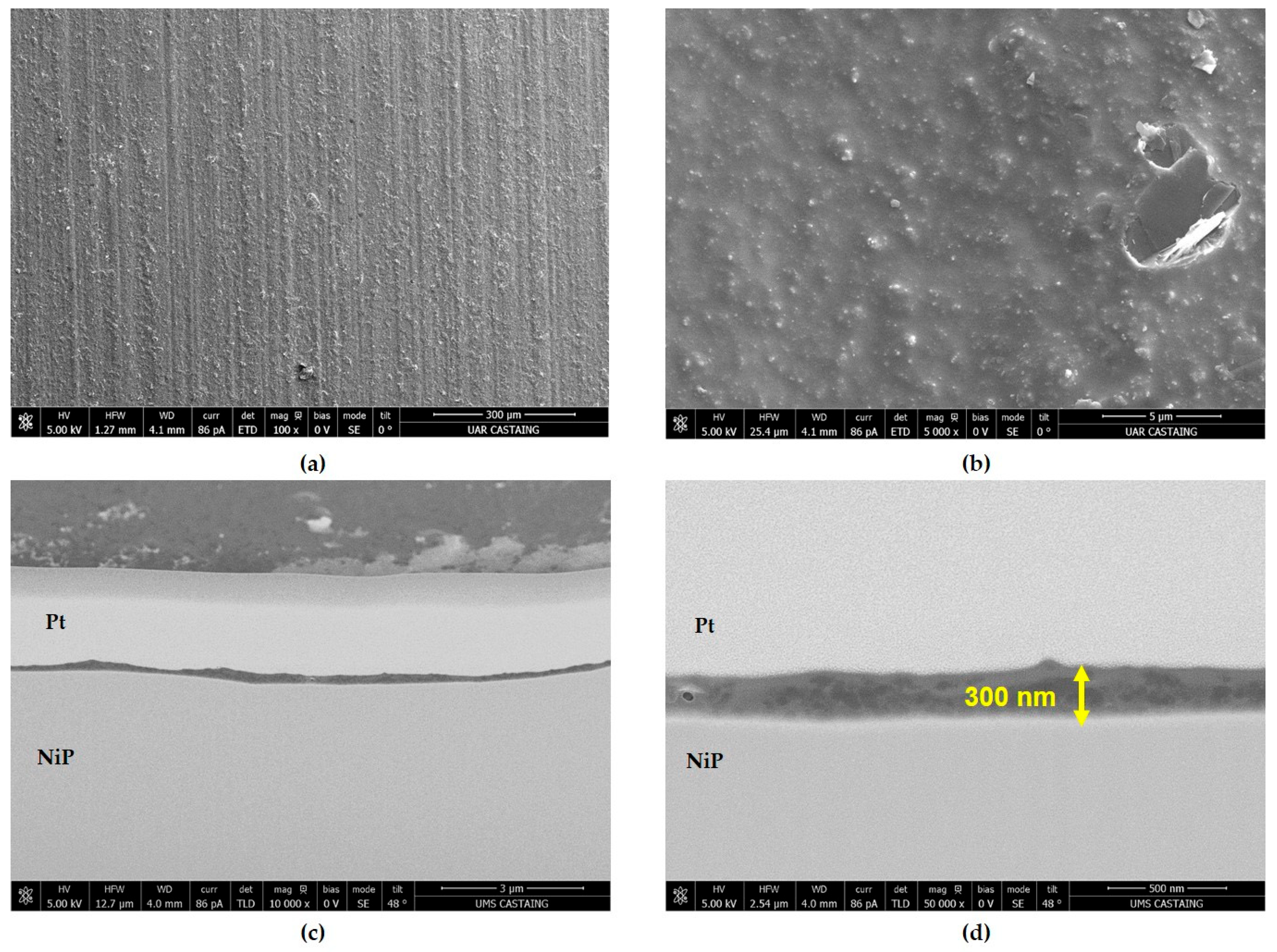 Materials 18 02011 g008