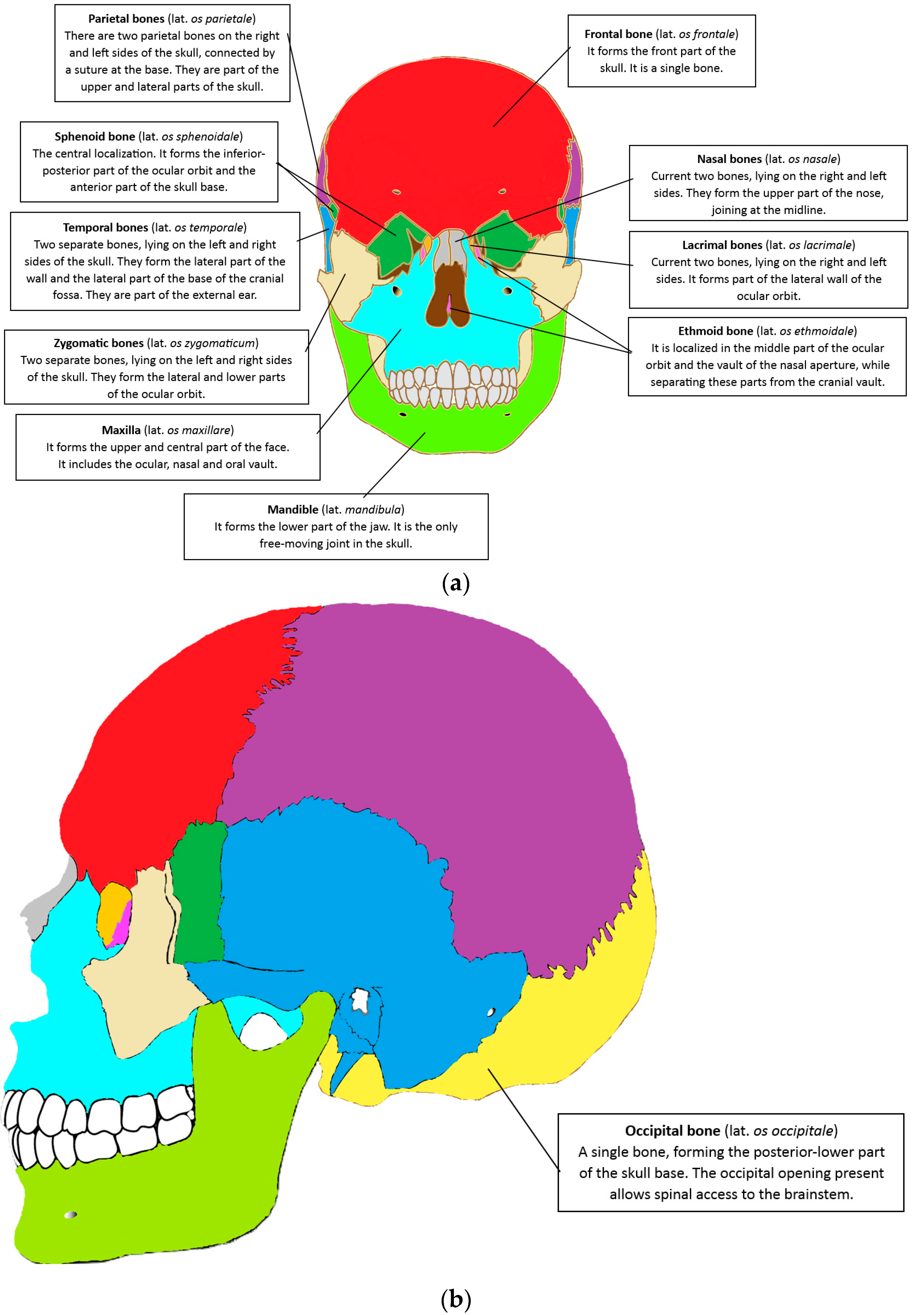 Materials 18 02021 g001
