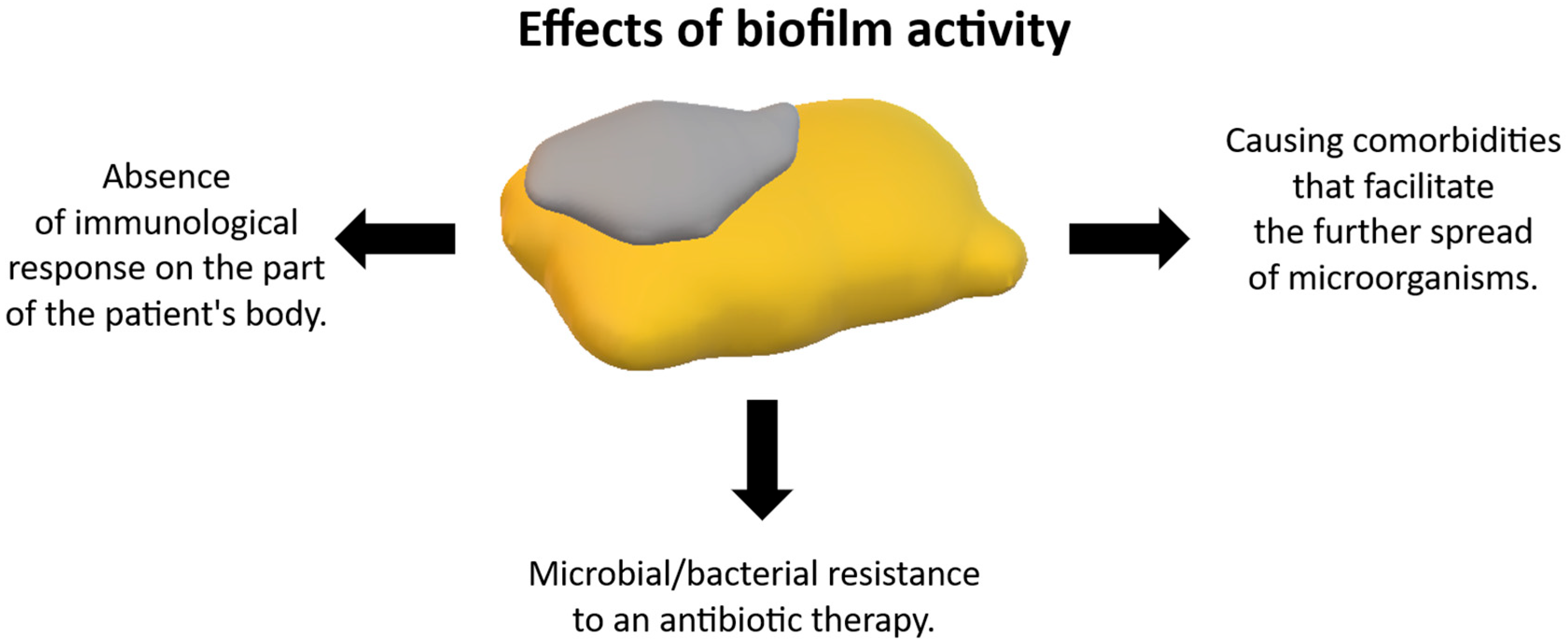 Materials 18 02021 g005