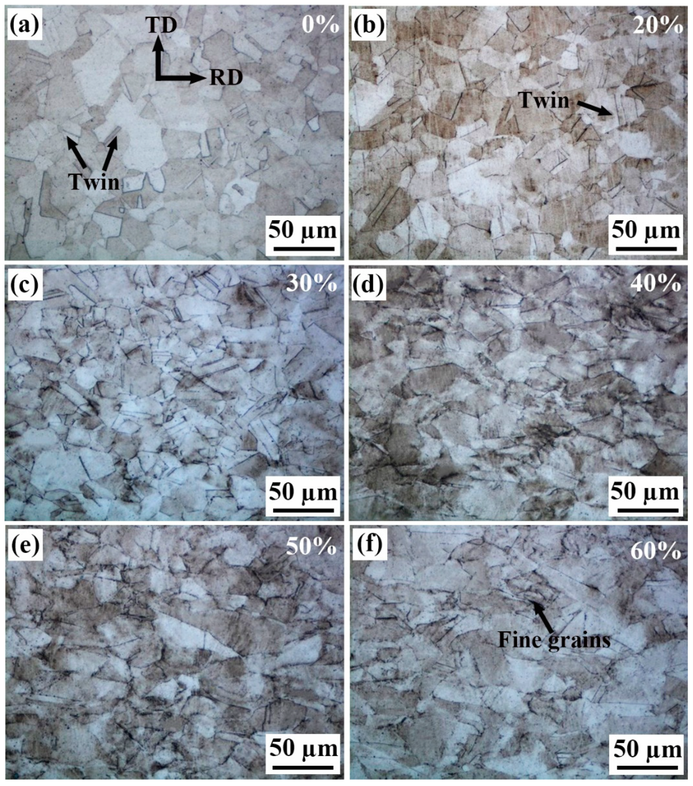 Materials 18 02026 g001 Materials 18 02026 g001