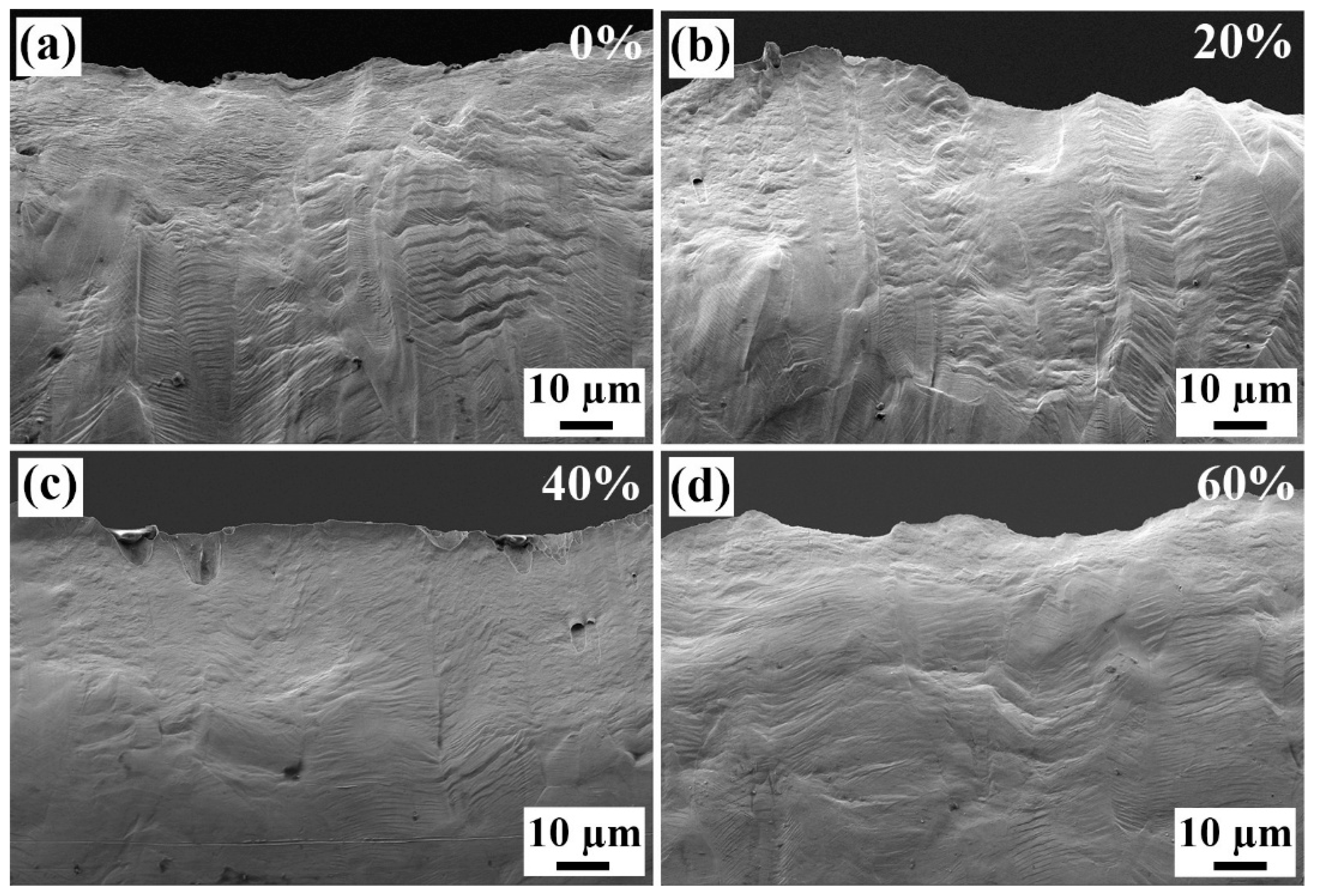 Materials 18 02026 g011 Materials 18 02026 g011