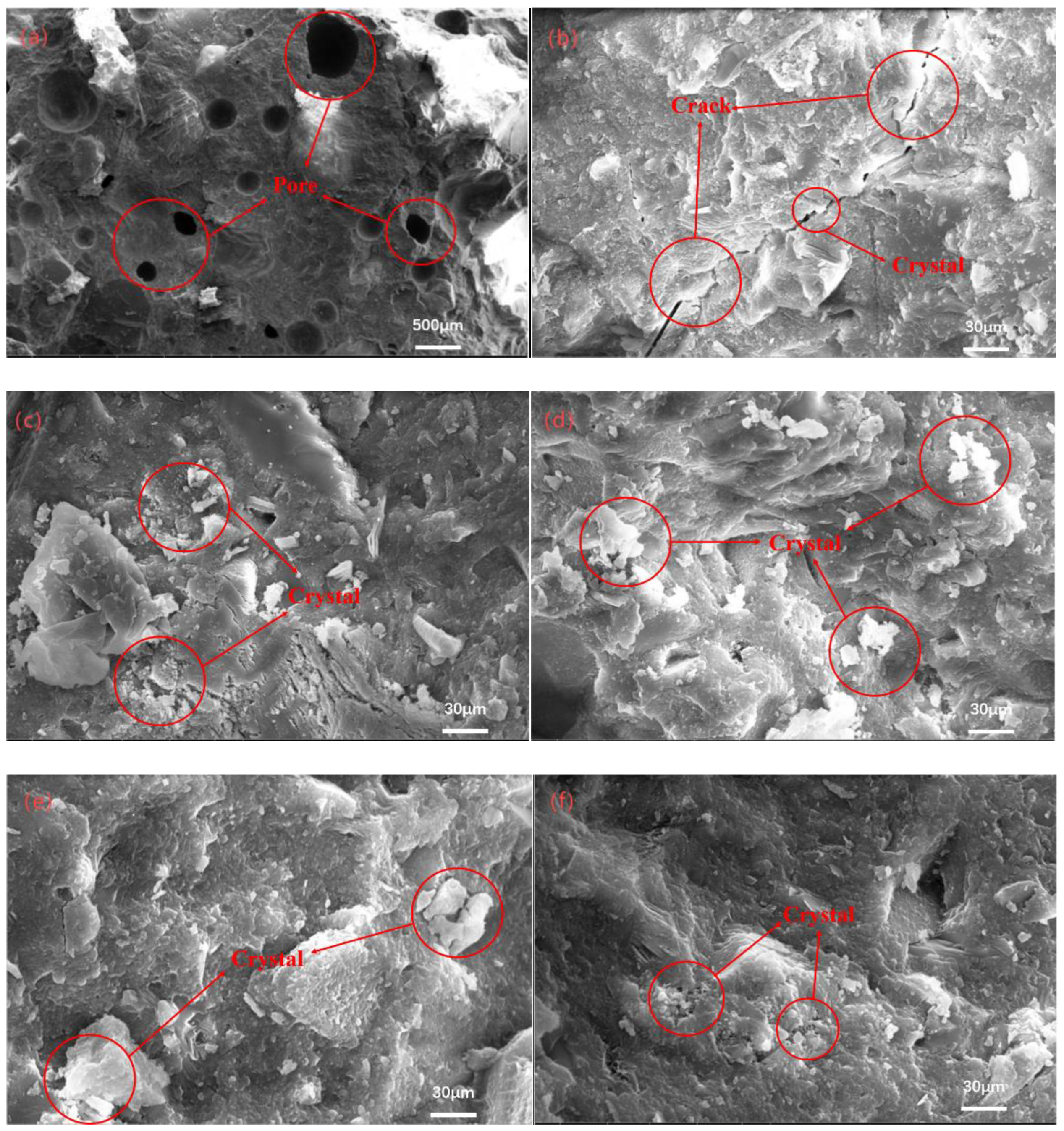 Materials 18 02031 g010