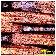 Materials 18 02042 i003