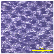 Materials 18 02042 i007