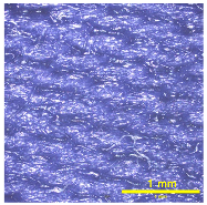 Materials 18 02042 i008