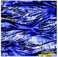 Materials 18 02042 i009