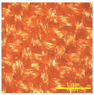 Materials 18 02042 i010