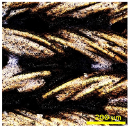 Materials 18 02042 i015