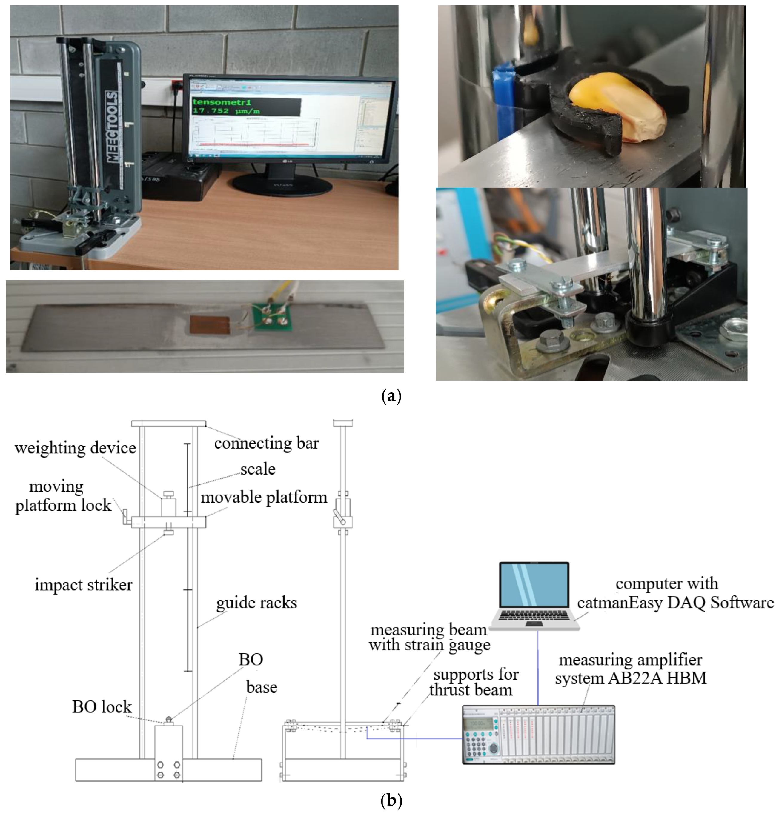 Materials 18 02075 g005
