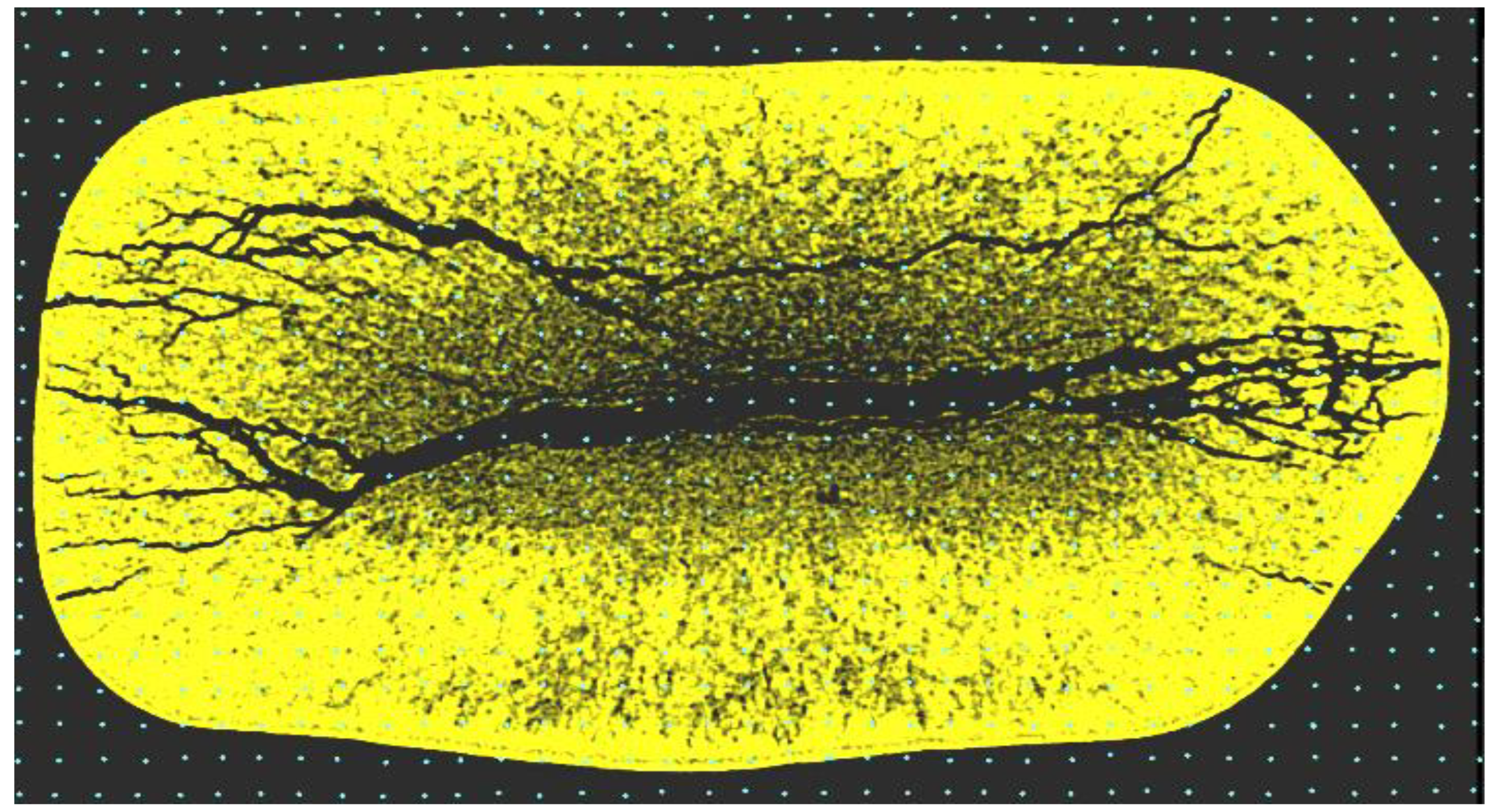 Materials 18 02075 g010