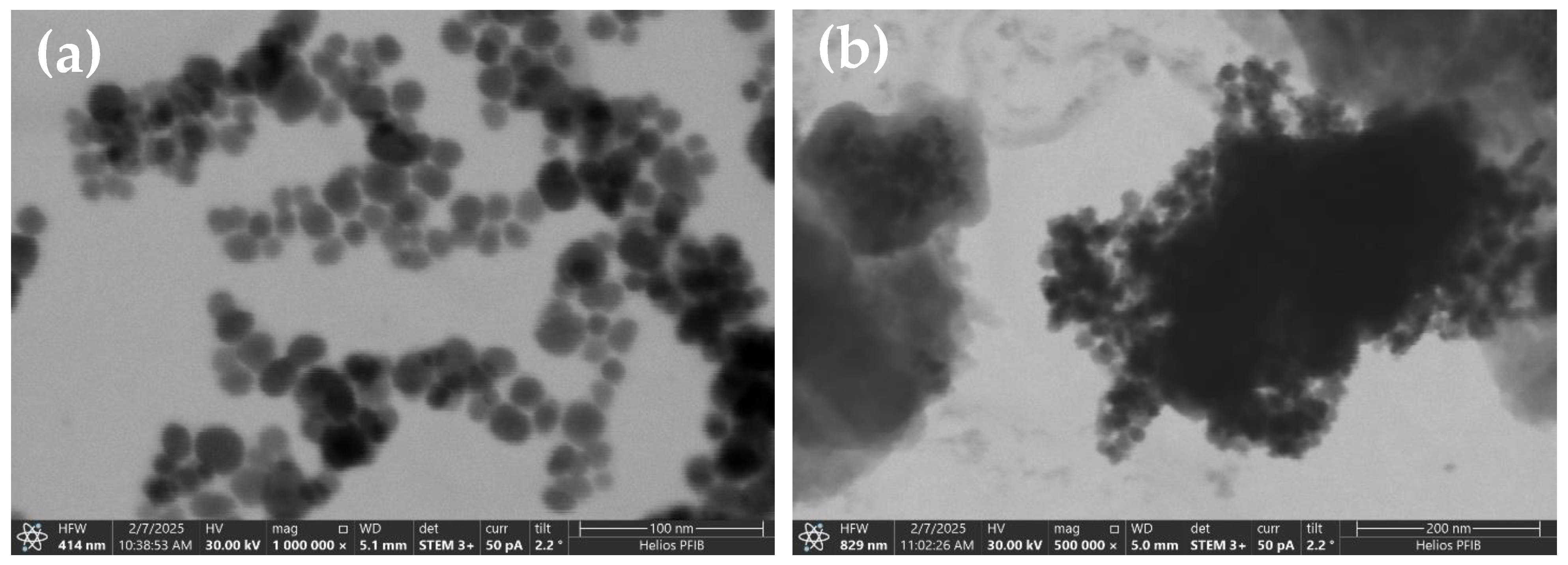 Materials 18 02083 g004