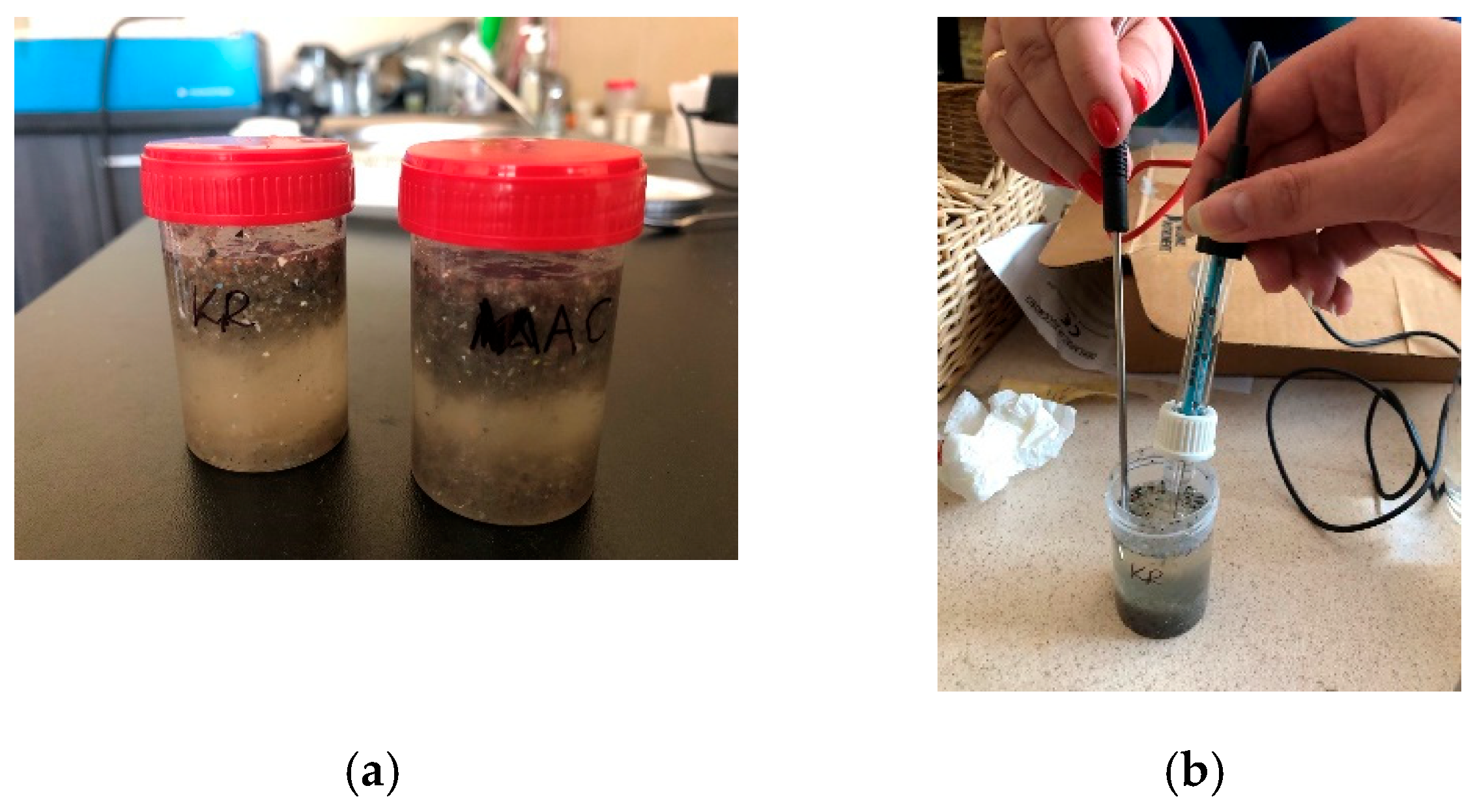 Materials 18 02103 g005