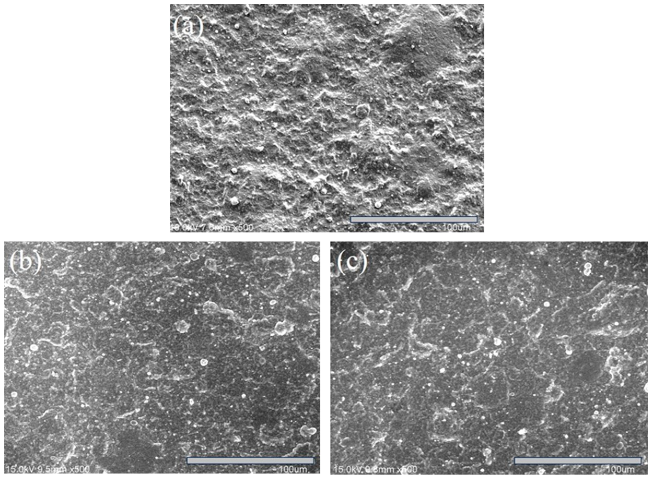 Materials 18 02107 g008