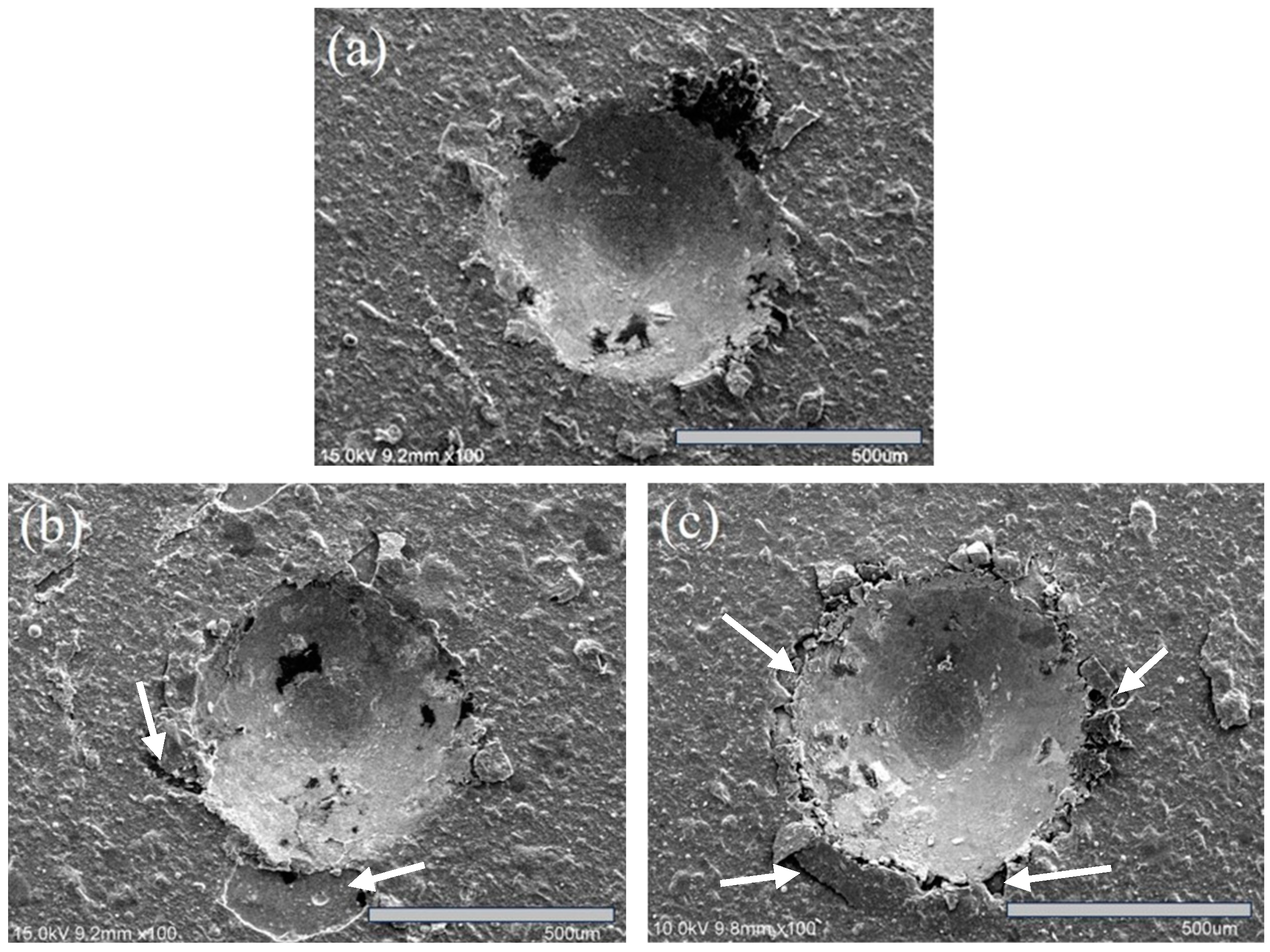 Materials 18 02107 g010