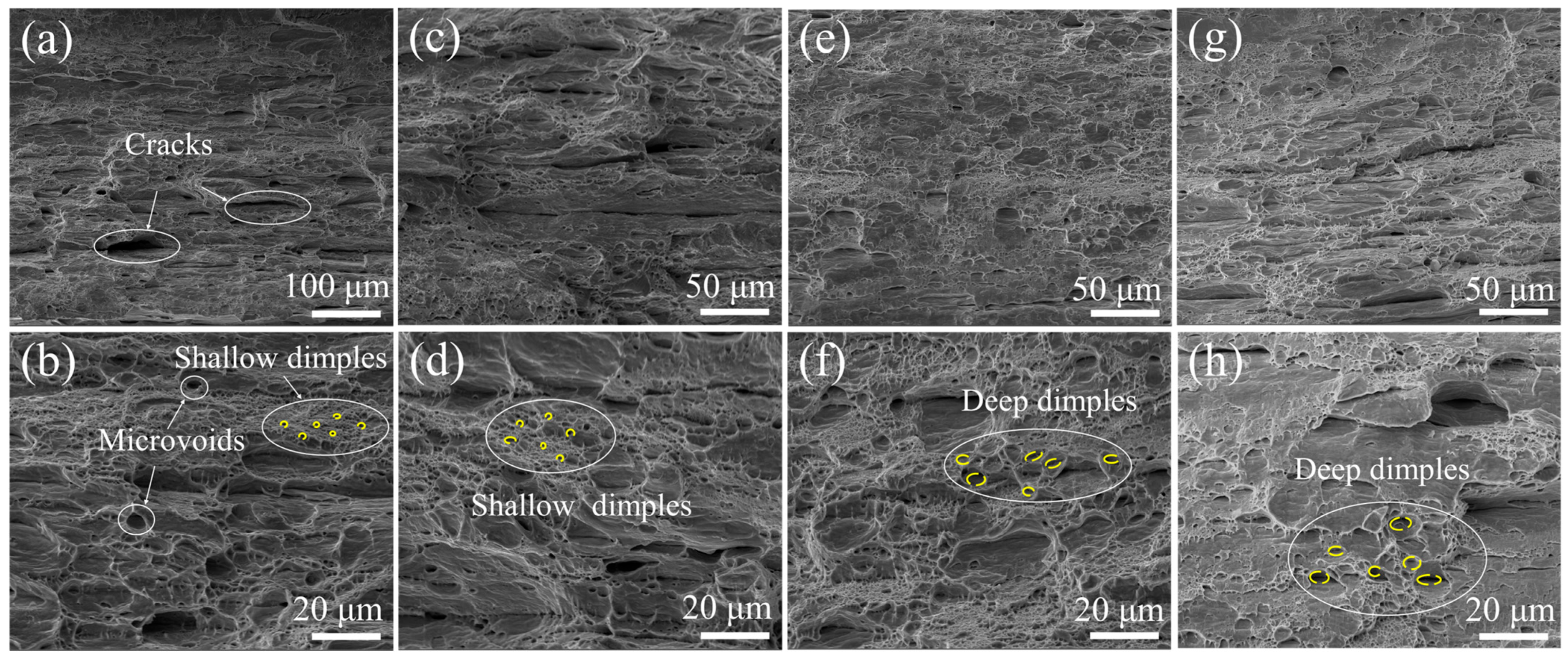 Materials 18 02109 g010