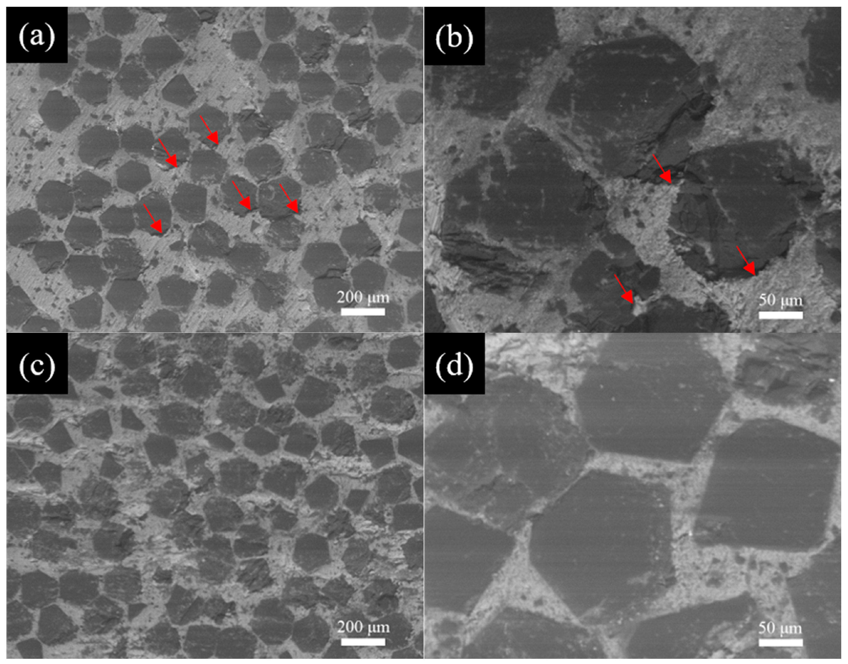 Materials 18 02117 g005 Materials 18 02117 g005