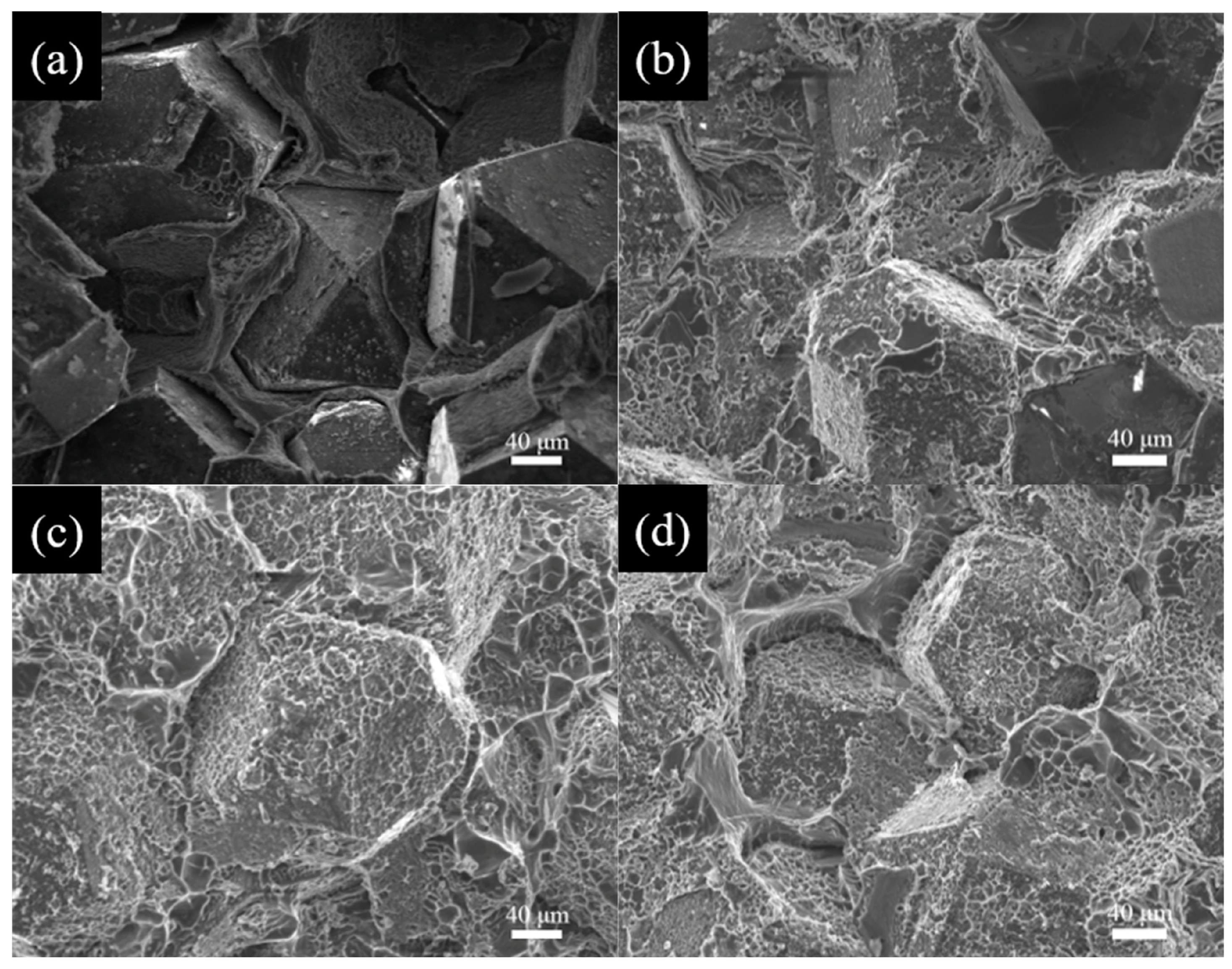 Materials 18 02117 g006 Materials 18 02117 g006