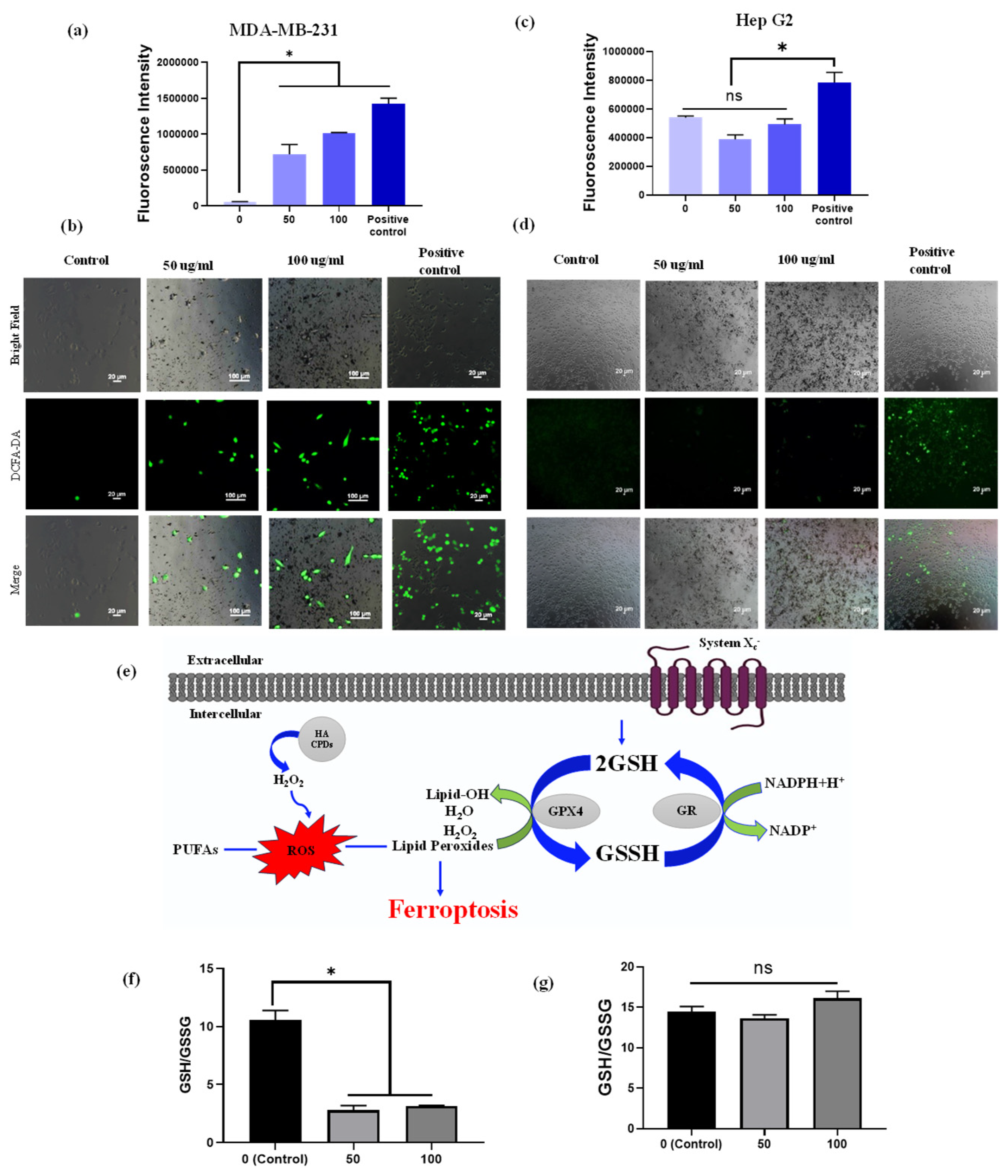 Materials 18 02139 g007