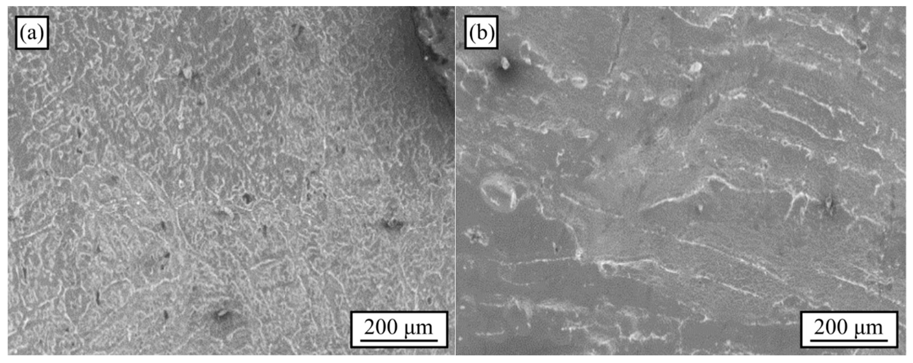 Materials 18 02147 g002 Materials 18 02147 g002