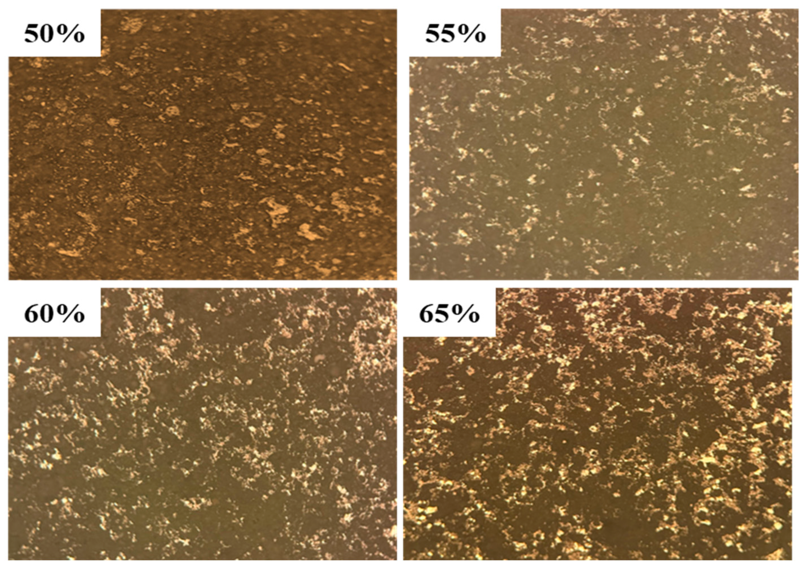 Materials 18 02153 g010 Materials 18 02153 g010