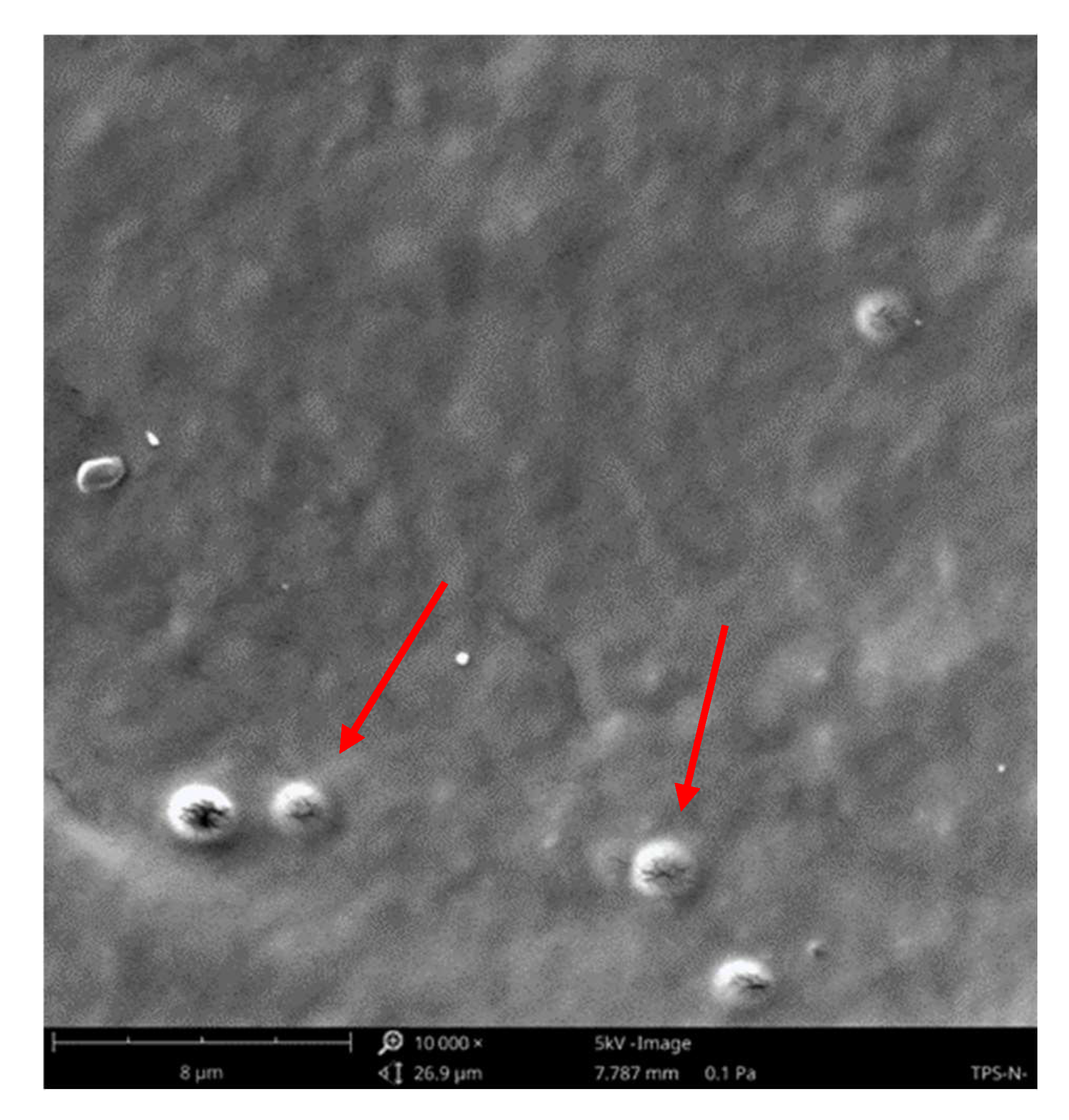 Materials 18 02156 g011