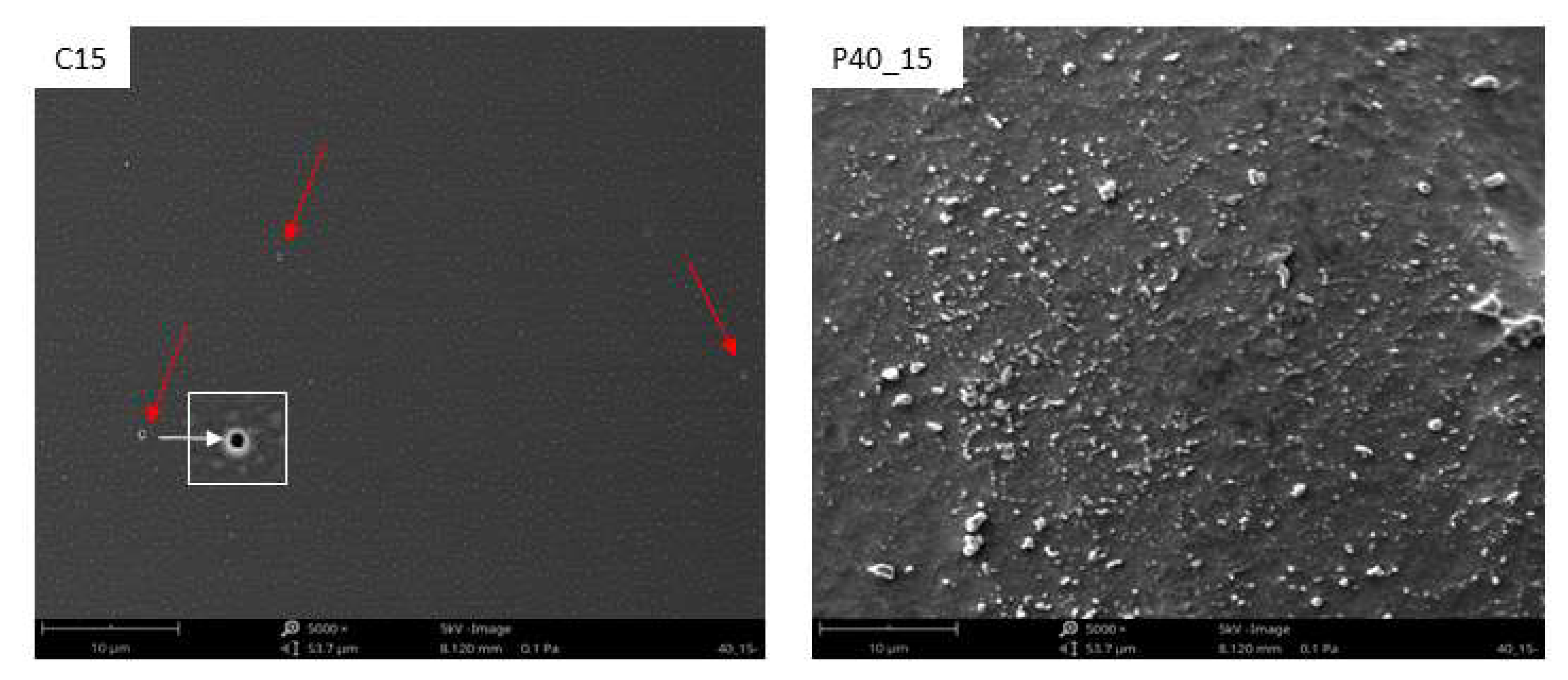 Materials 18 02156 g013