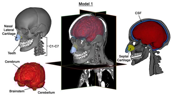 Materials 18 02188 g001
