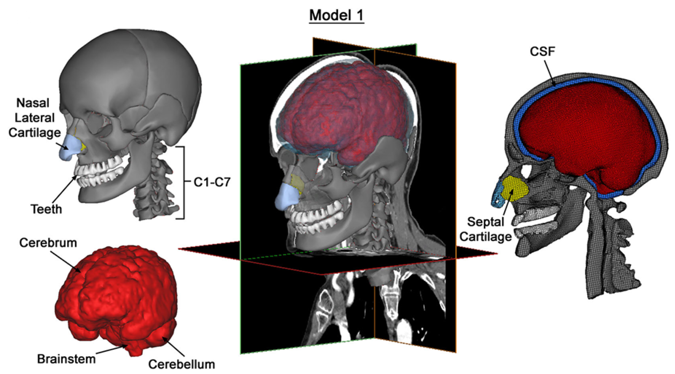 Materials 18 02188 g001