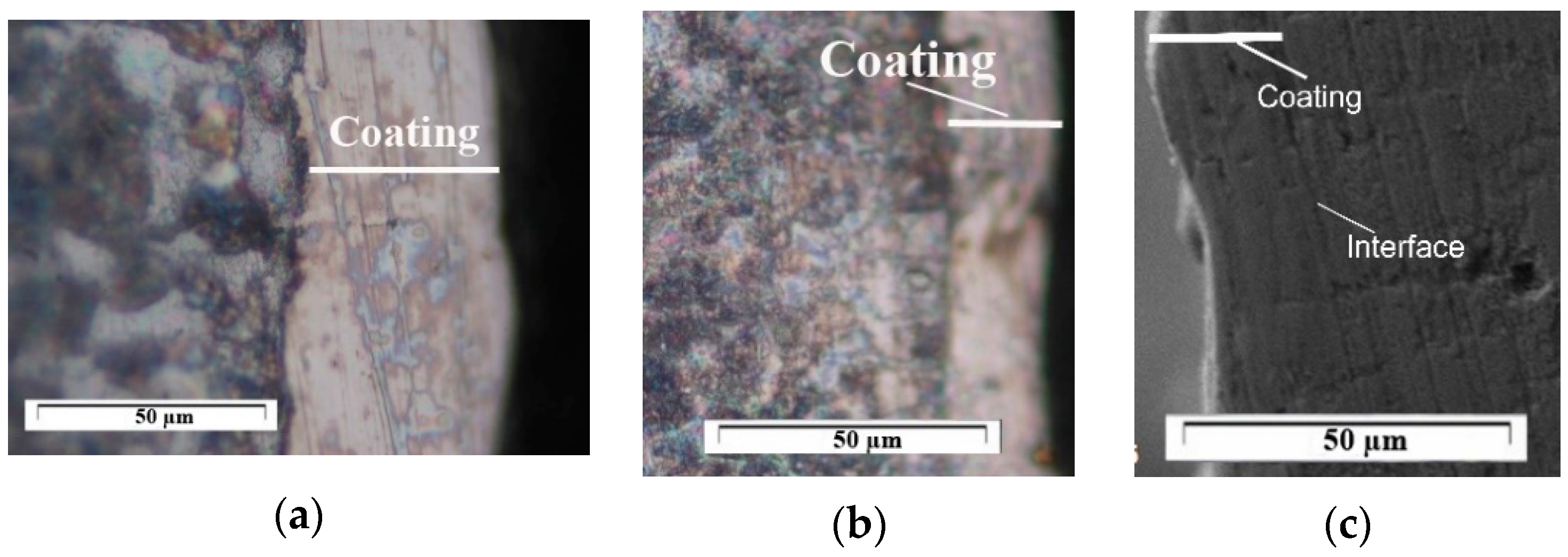 Materials 18 02211 g008
