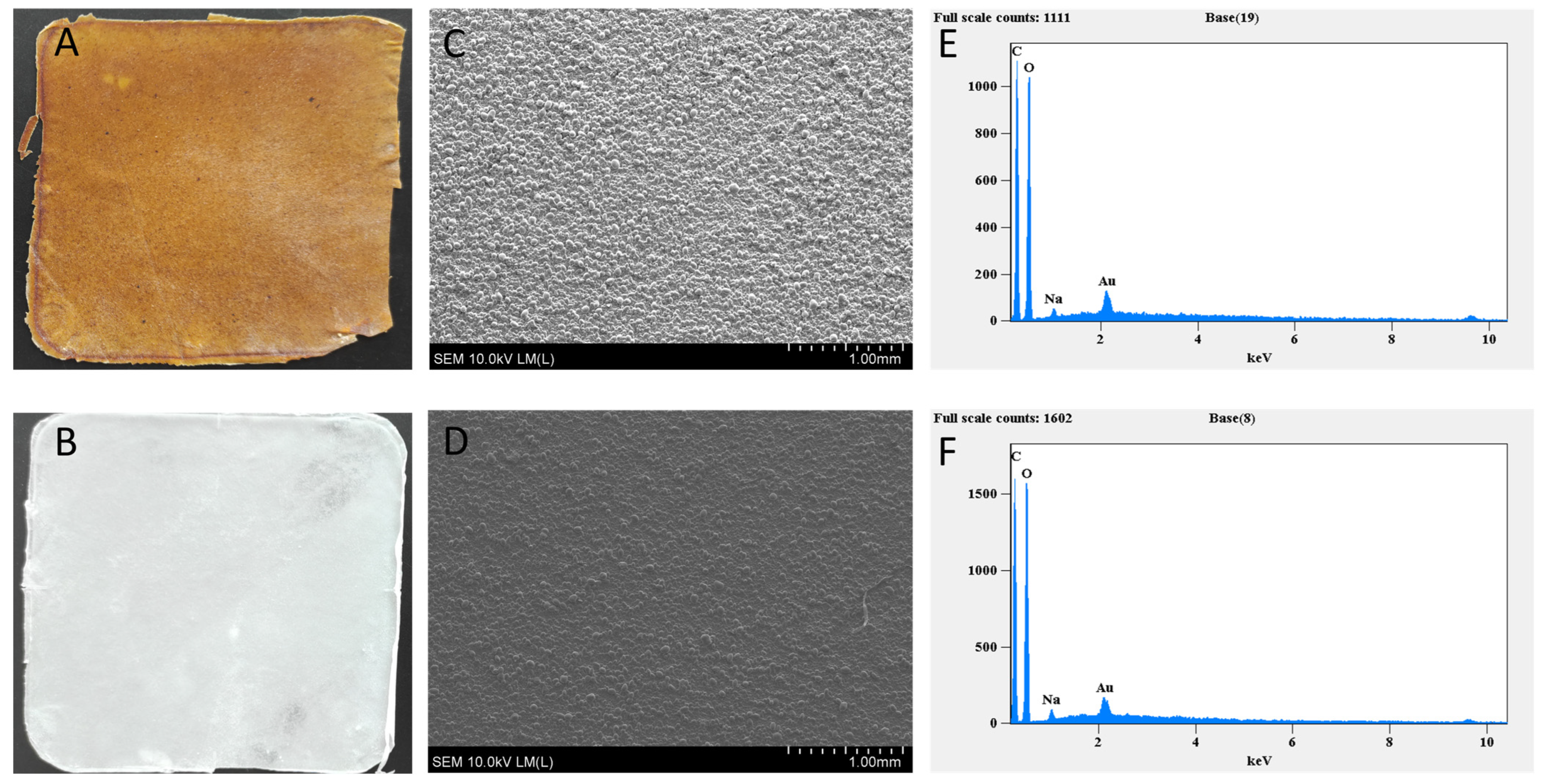 Materials 18 02228 g001 Materials 18 02228 g001
