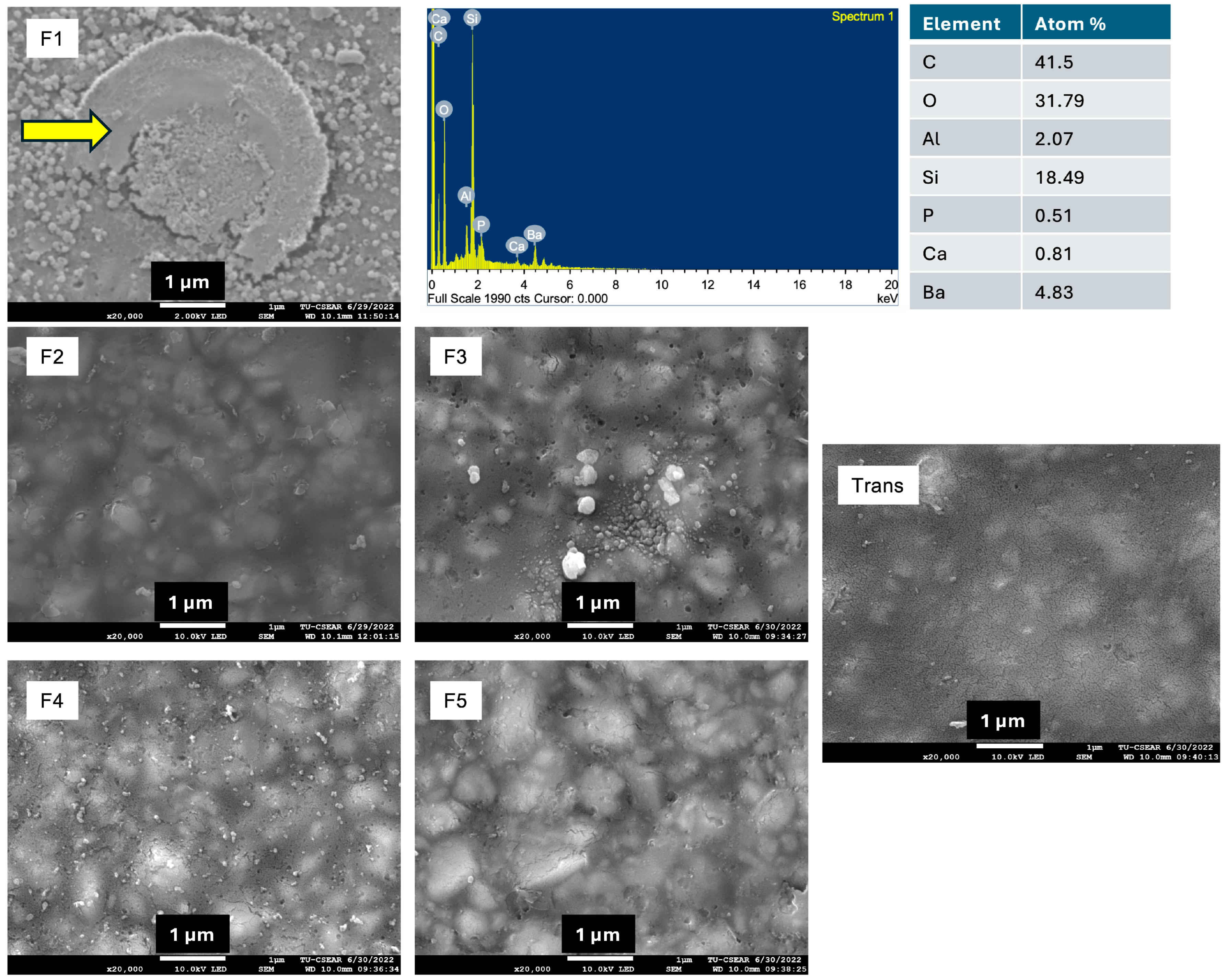 Materials 18 02278 g006