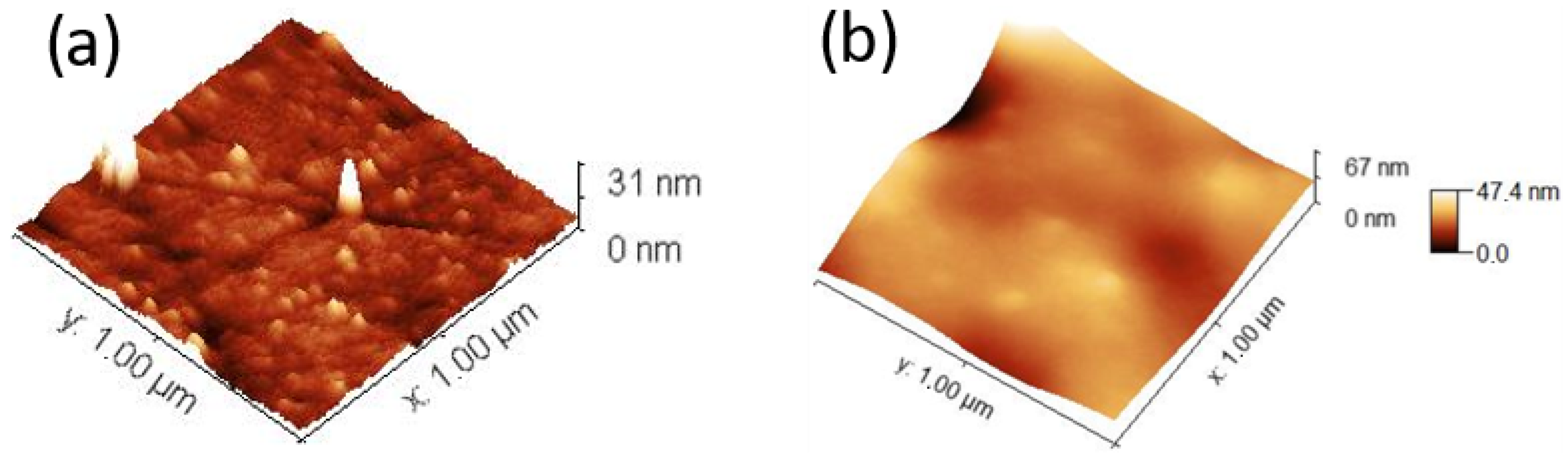 Materials 18 02279 g006