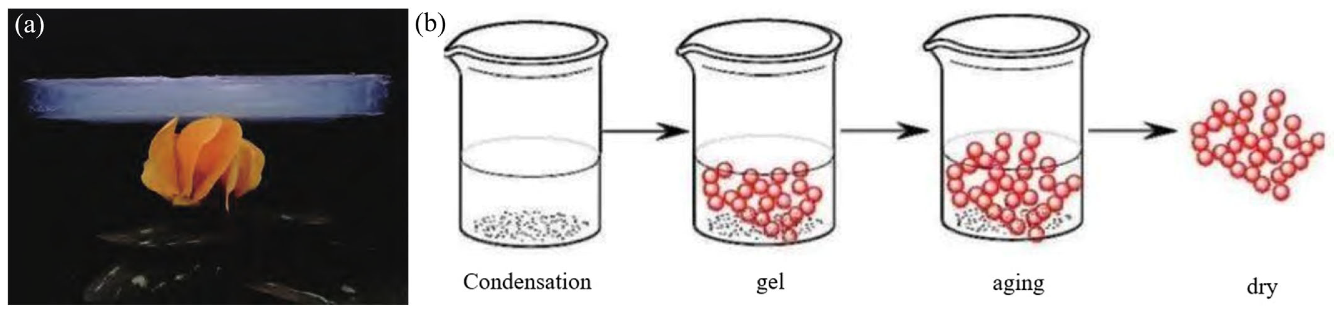 Materials 18 02383 g007