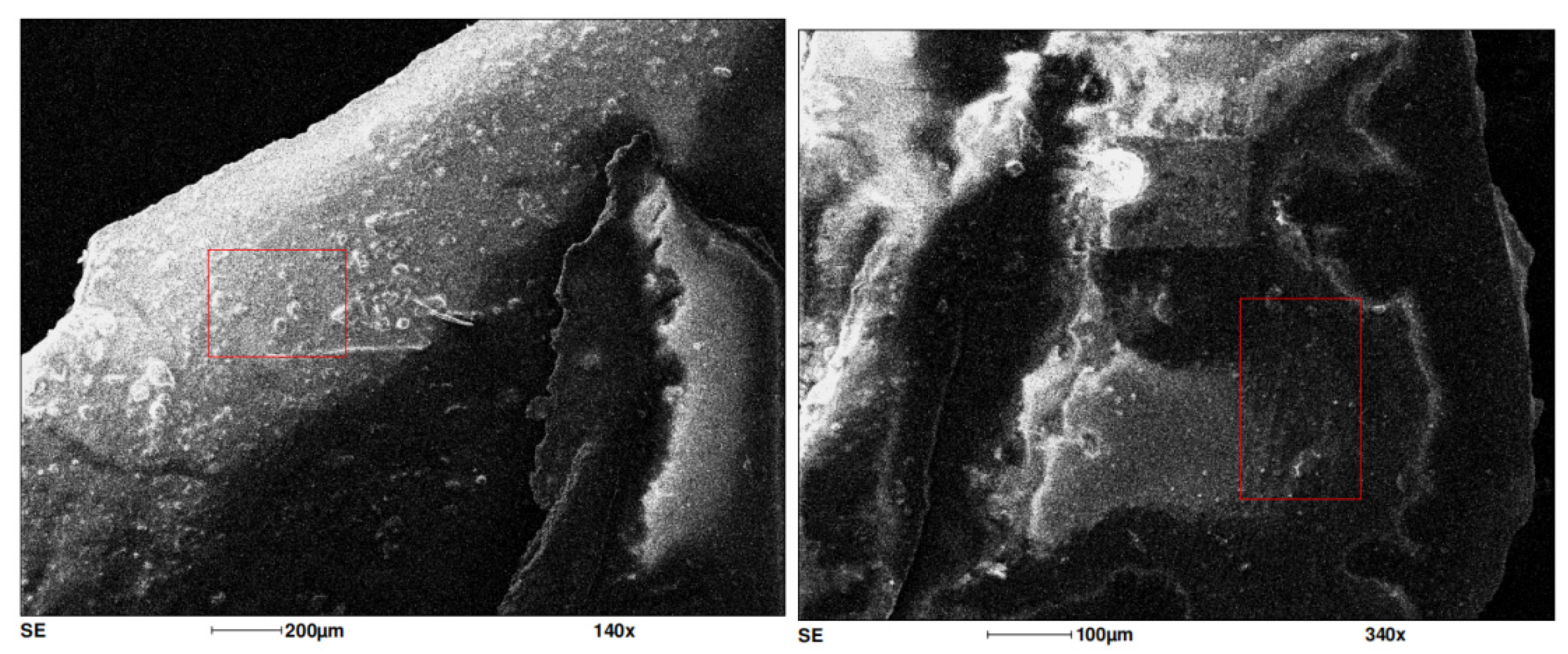 Materials 18 02401 g003