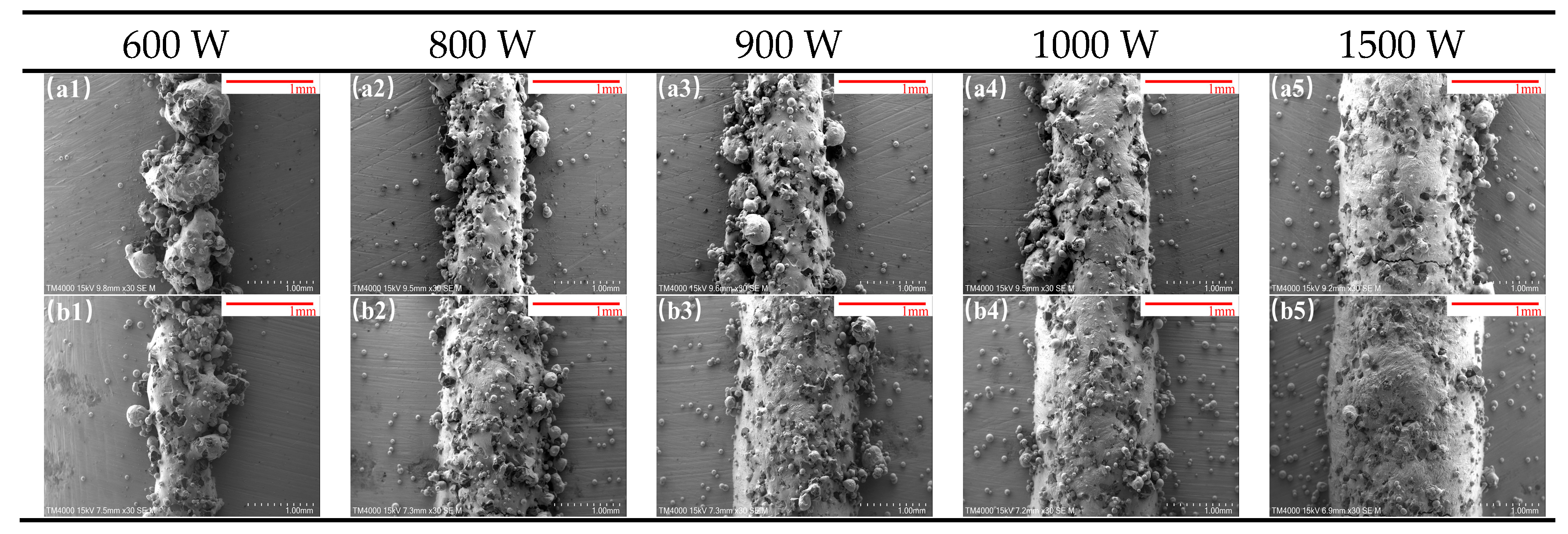 Materials 18 02402 g004