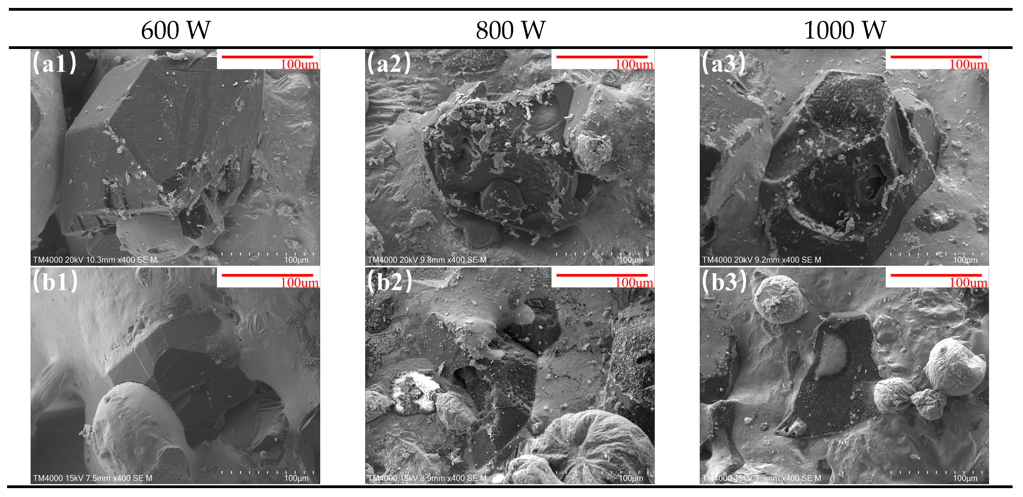 Materials 18 02402 g005