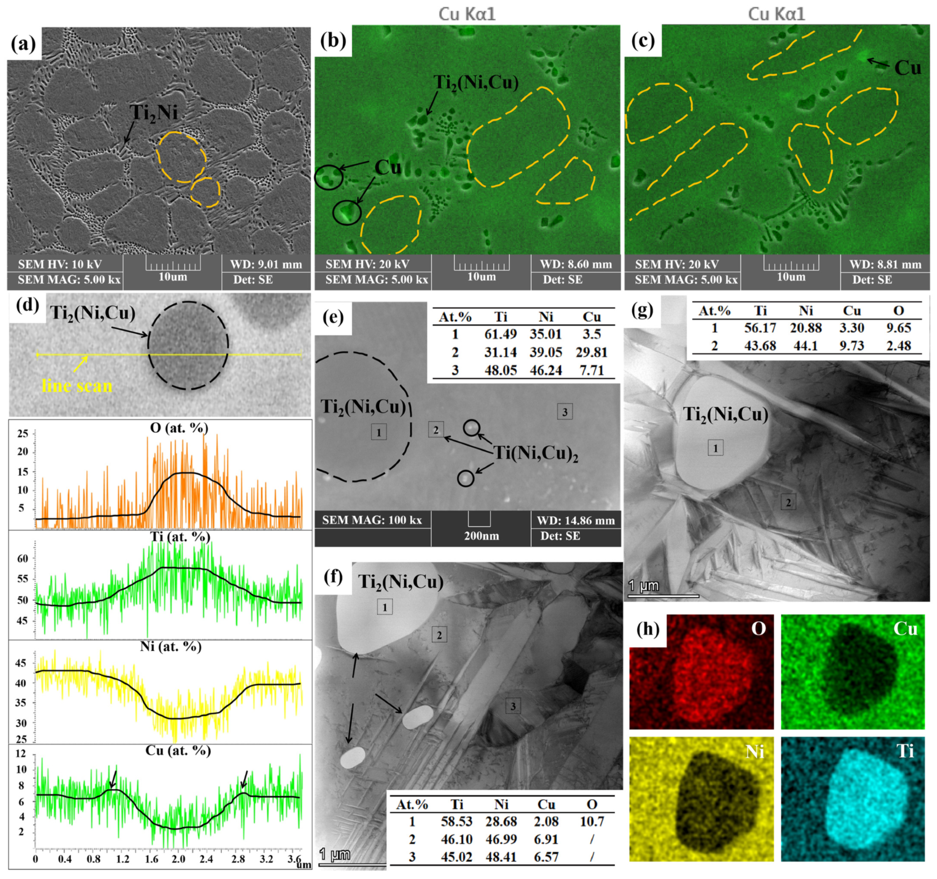 Materials 18 02407 g003