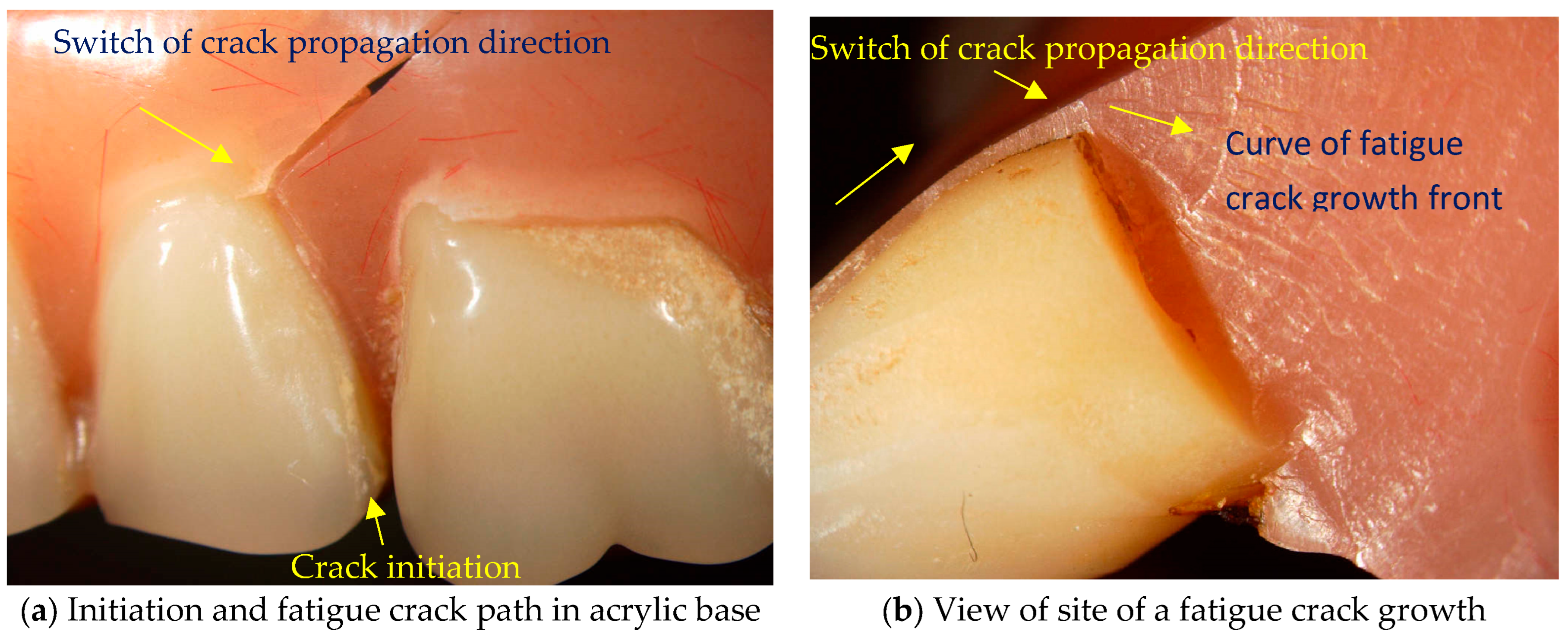 Materials 18 02427 g001